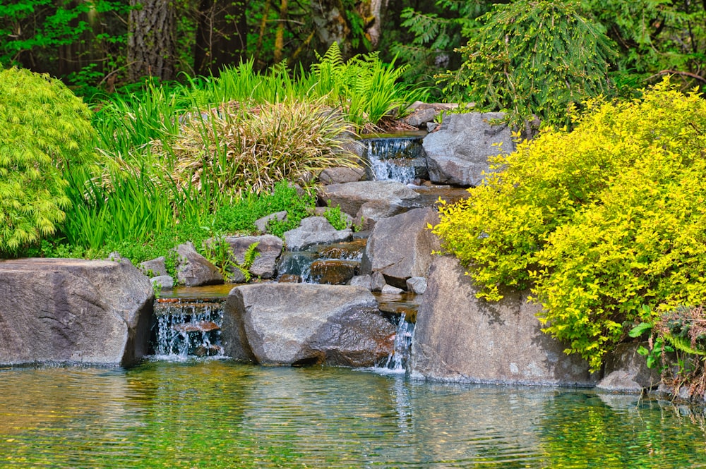 a pond with a waterfall surrounded by rocks