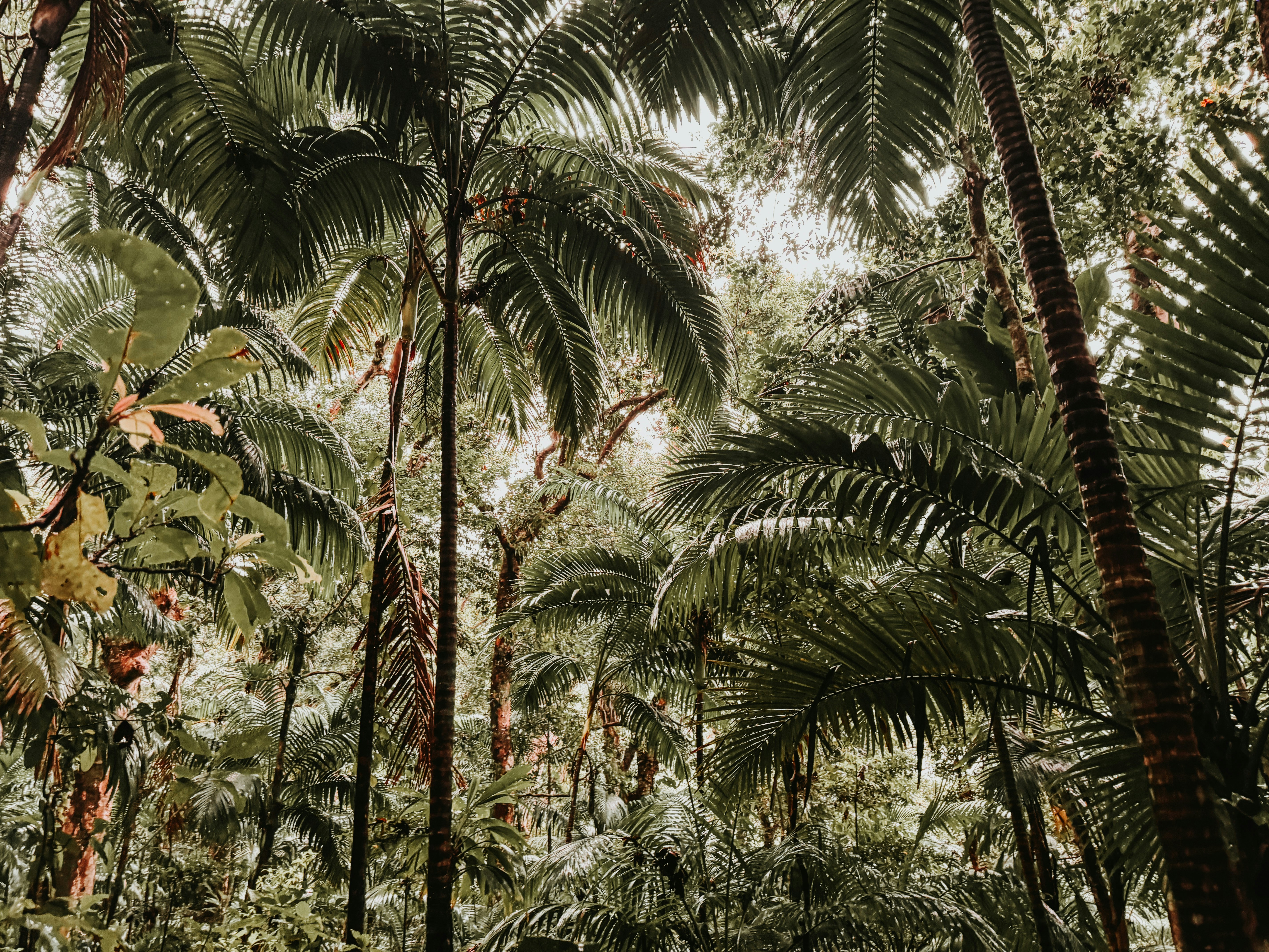 Photo by kwestioning