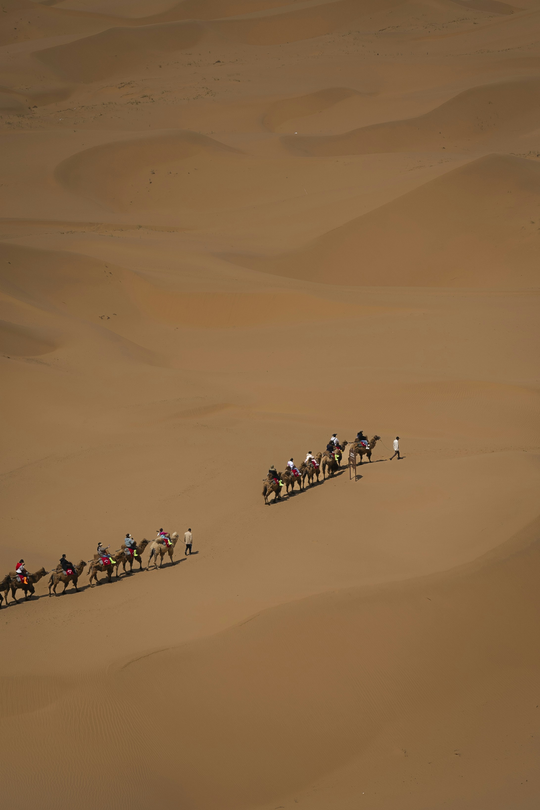 Hybrid Race Support in 2026: Edge Tech, Portable Telehealth, and Microcation Logistics for Marathon Organisers