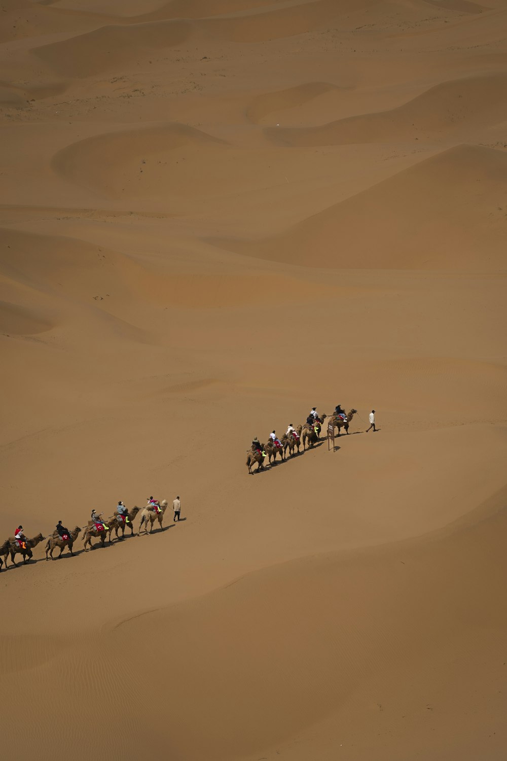 a group of people riding horses across a desert