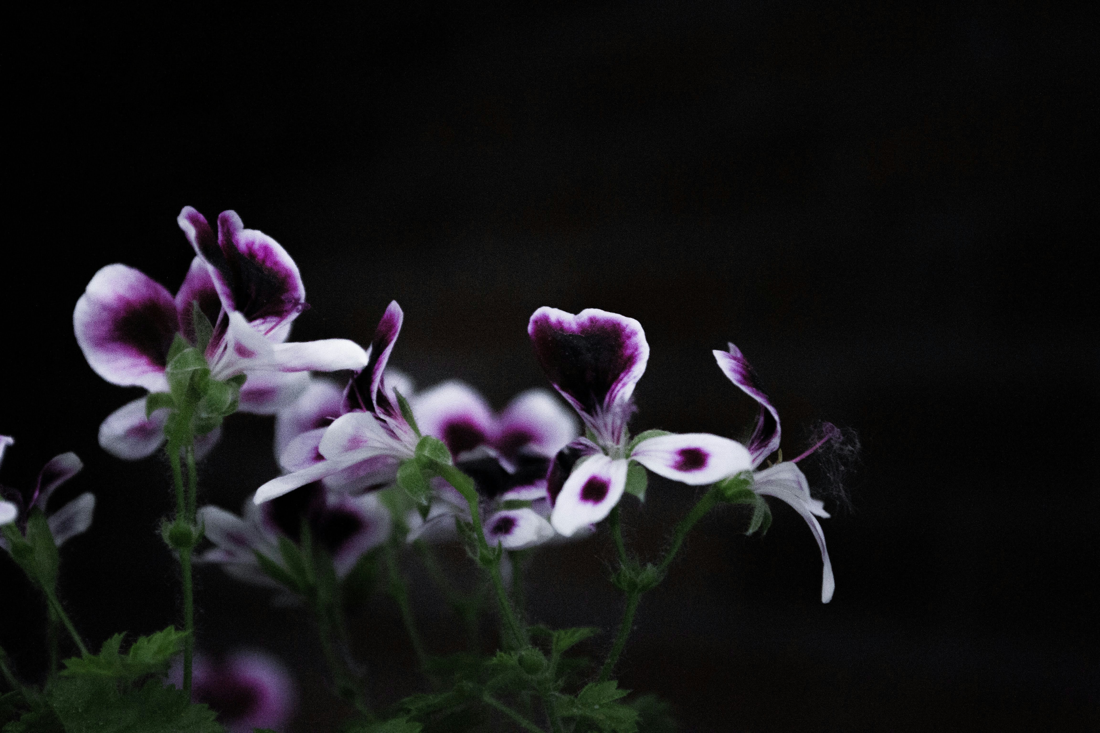 Photo by diseniatica