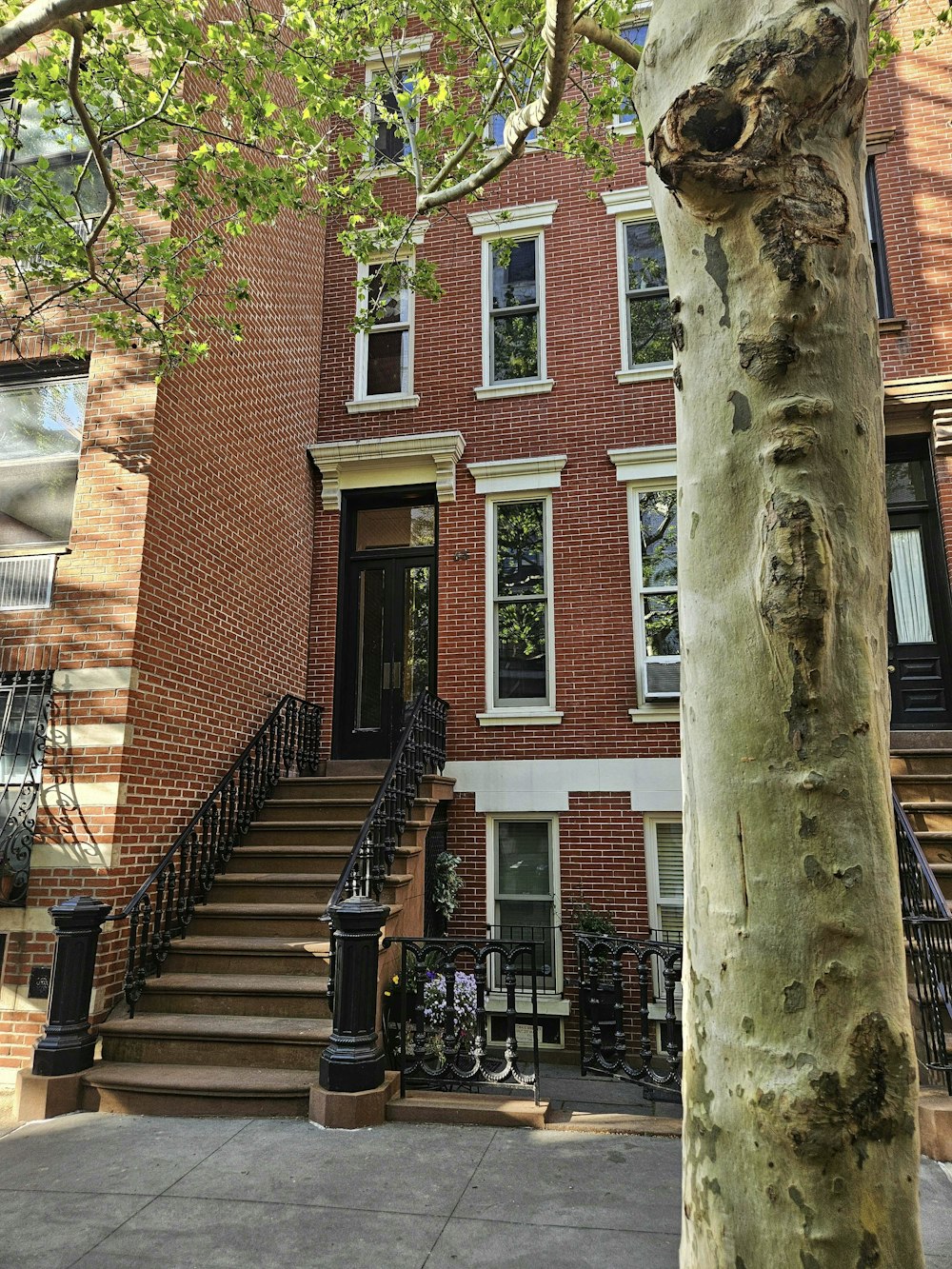 a tree in front of a brick building