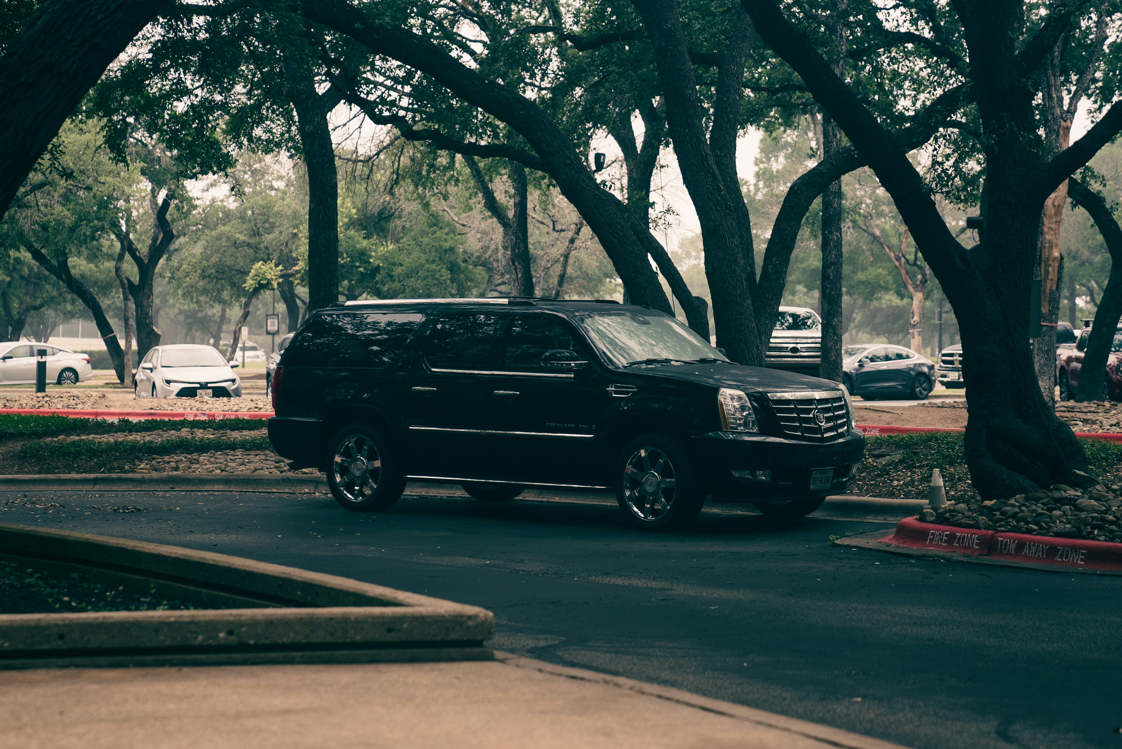 A large black SUV driving along a wet, tree-lined street on an overcast day &mdash; weighing an SUV rental against a sedan
