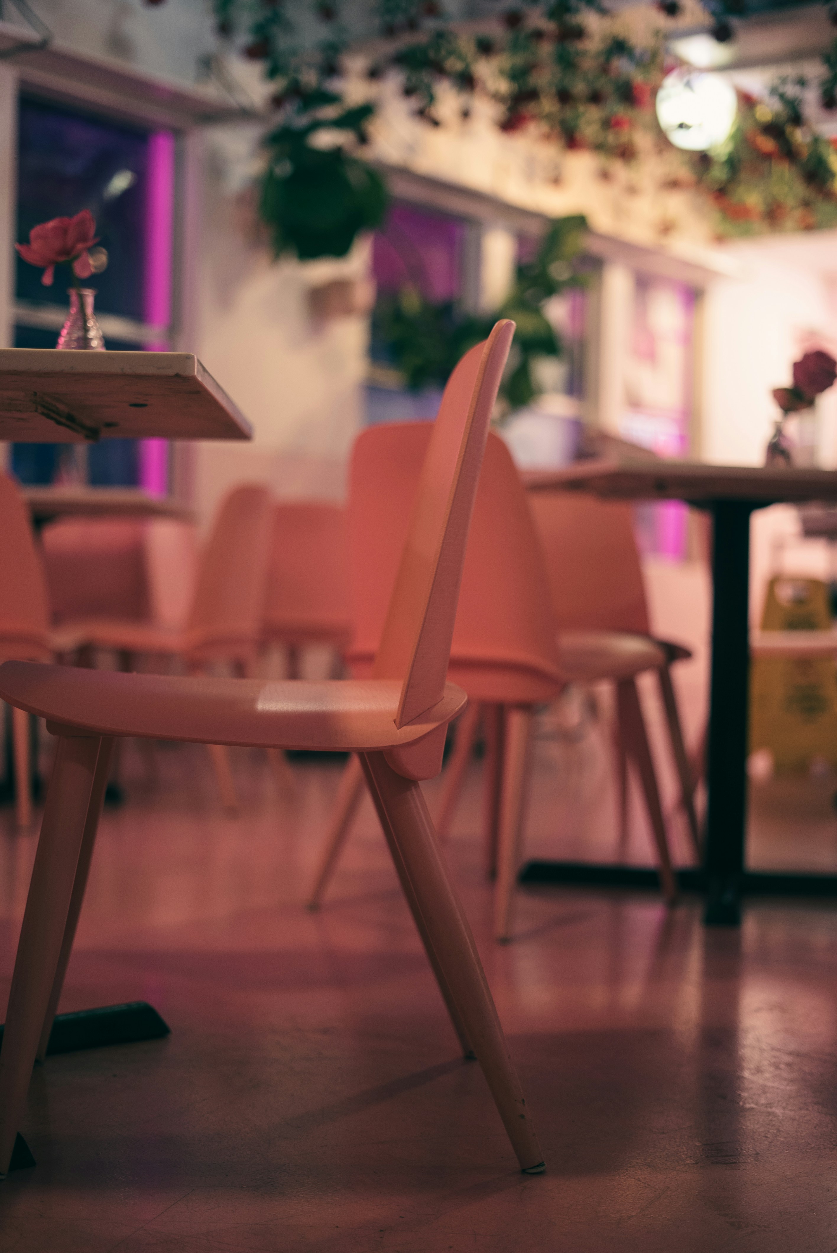 Photo by introspectivedsgn