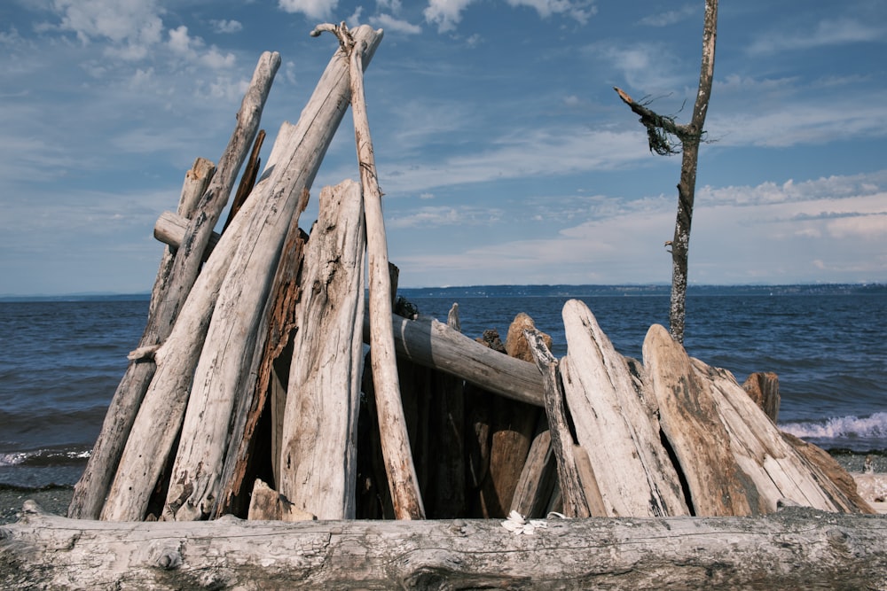 a pile of driftwood sitting on top of a beach