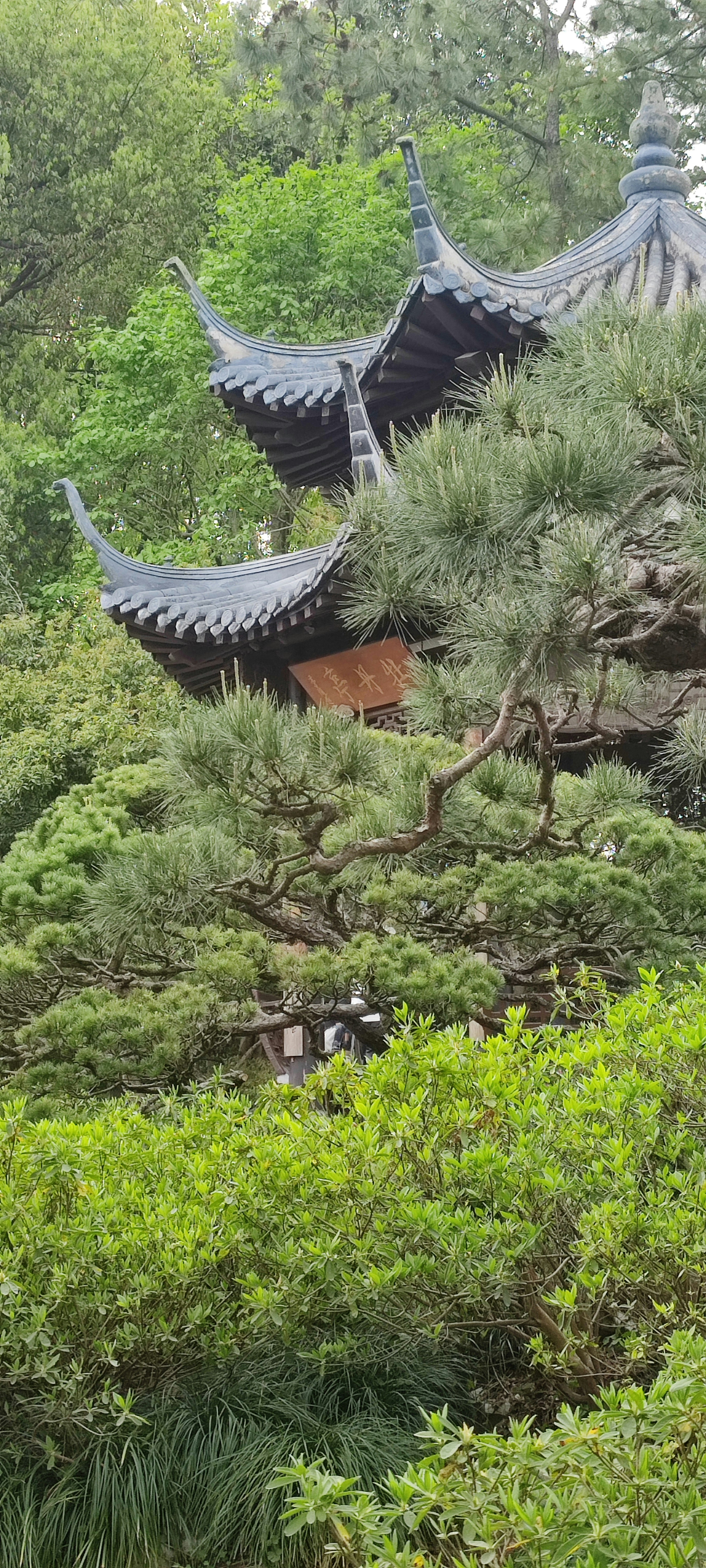 A couple of trees that are next to a building photo – Free China Image ...