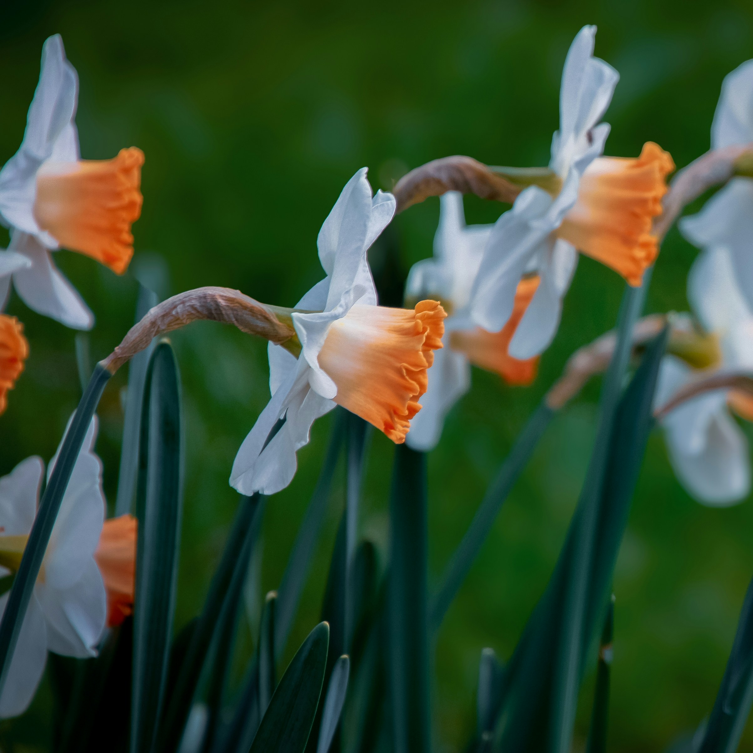 Photo by anthonyaird