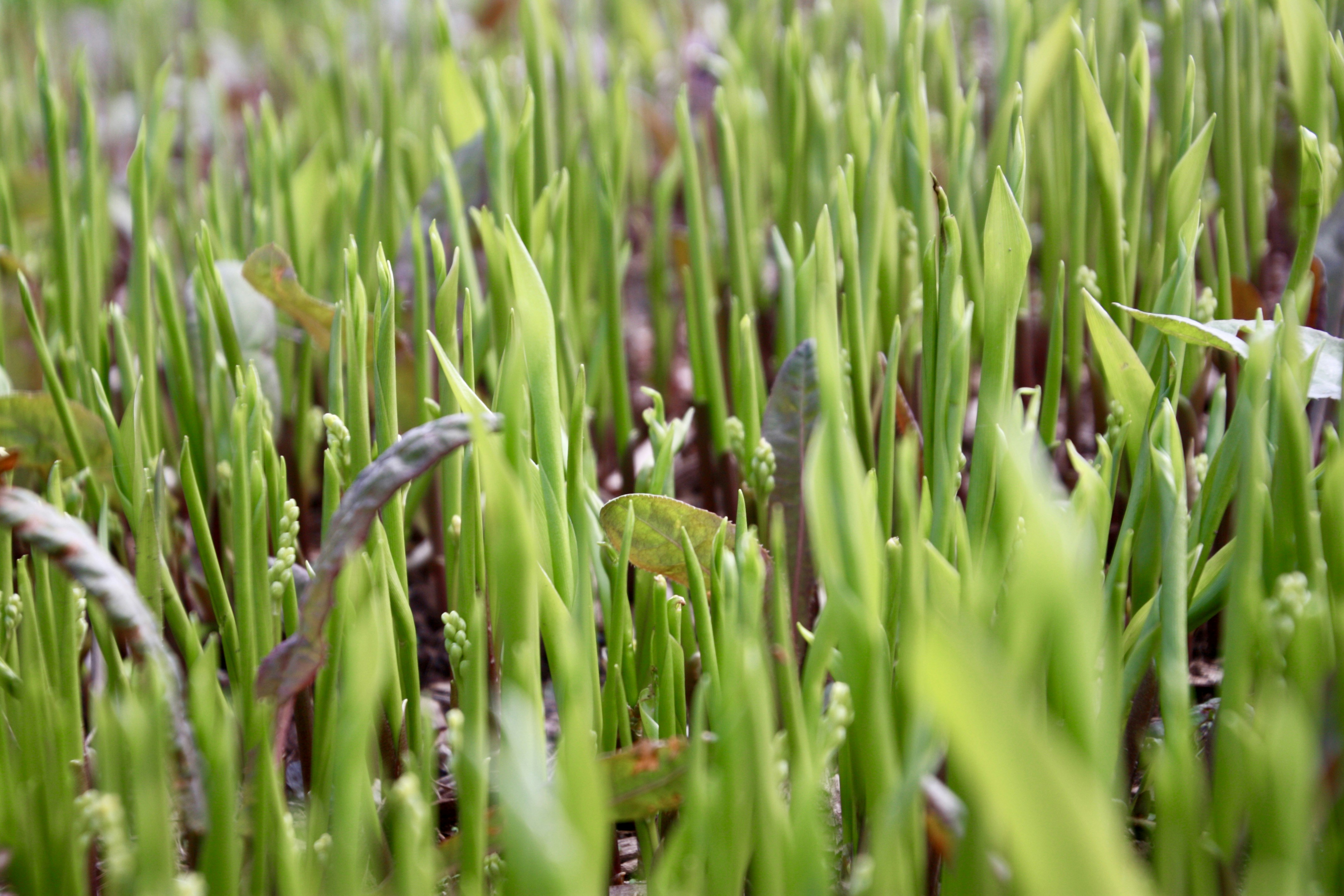 Photo by anthonyaird