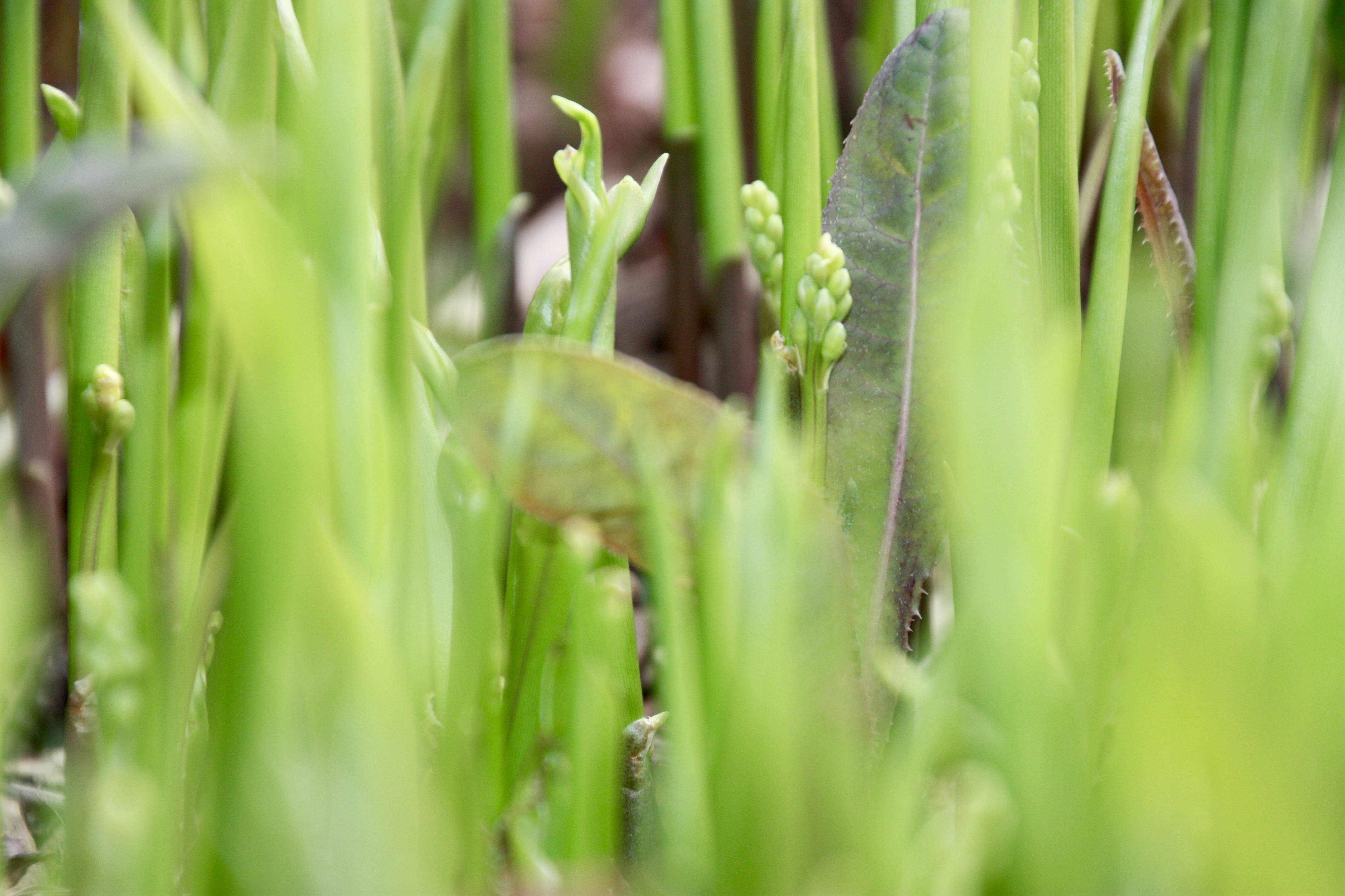 Photo by anthonyaird