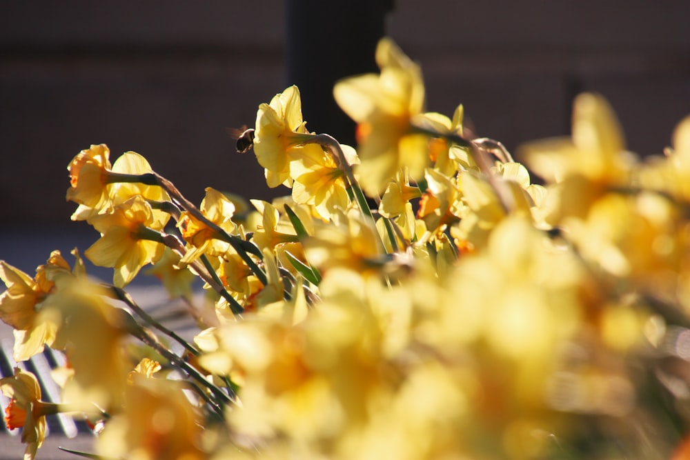 a bunch of yellow flowers that are in a vase