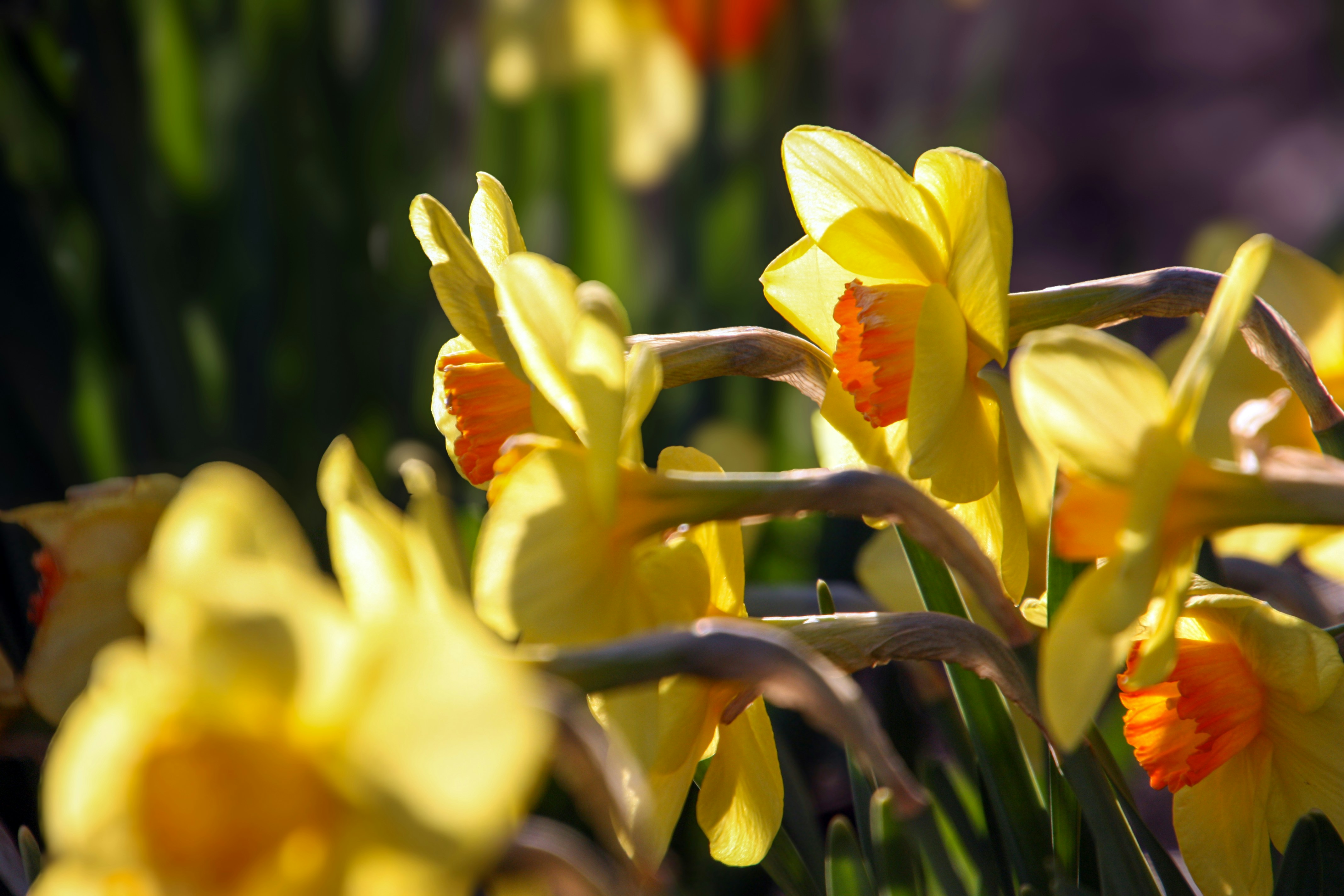 Photo by anthonyaird