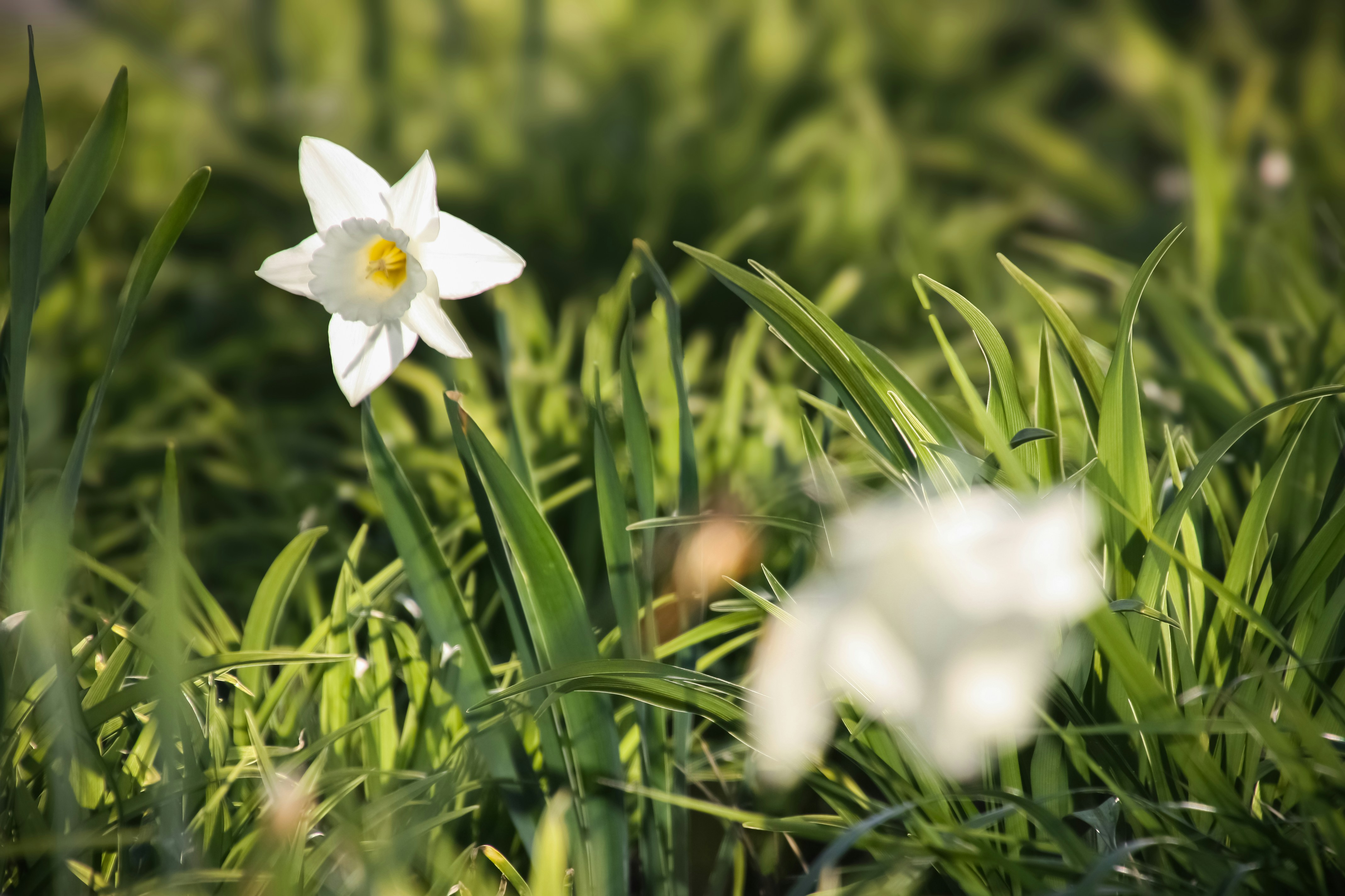 Photo by anthonyaird