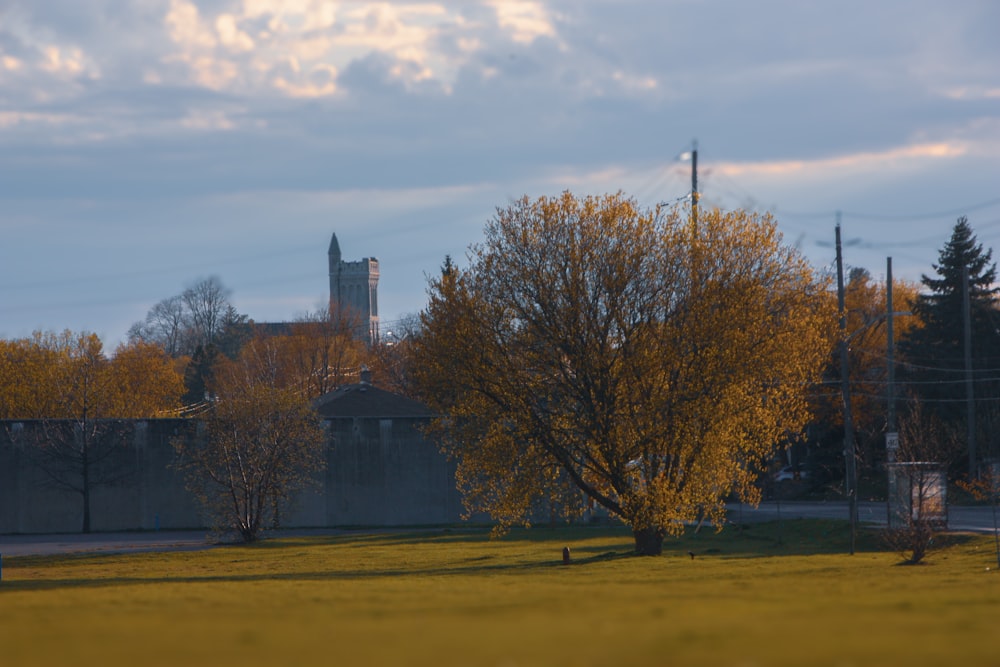 a field with trees and a building in the background