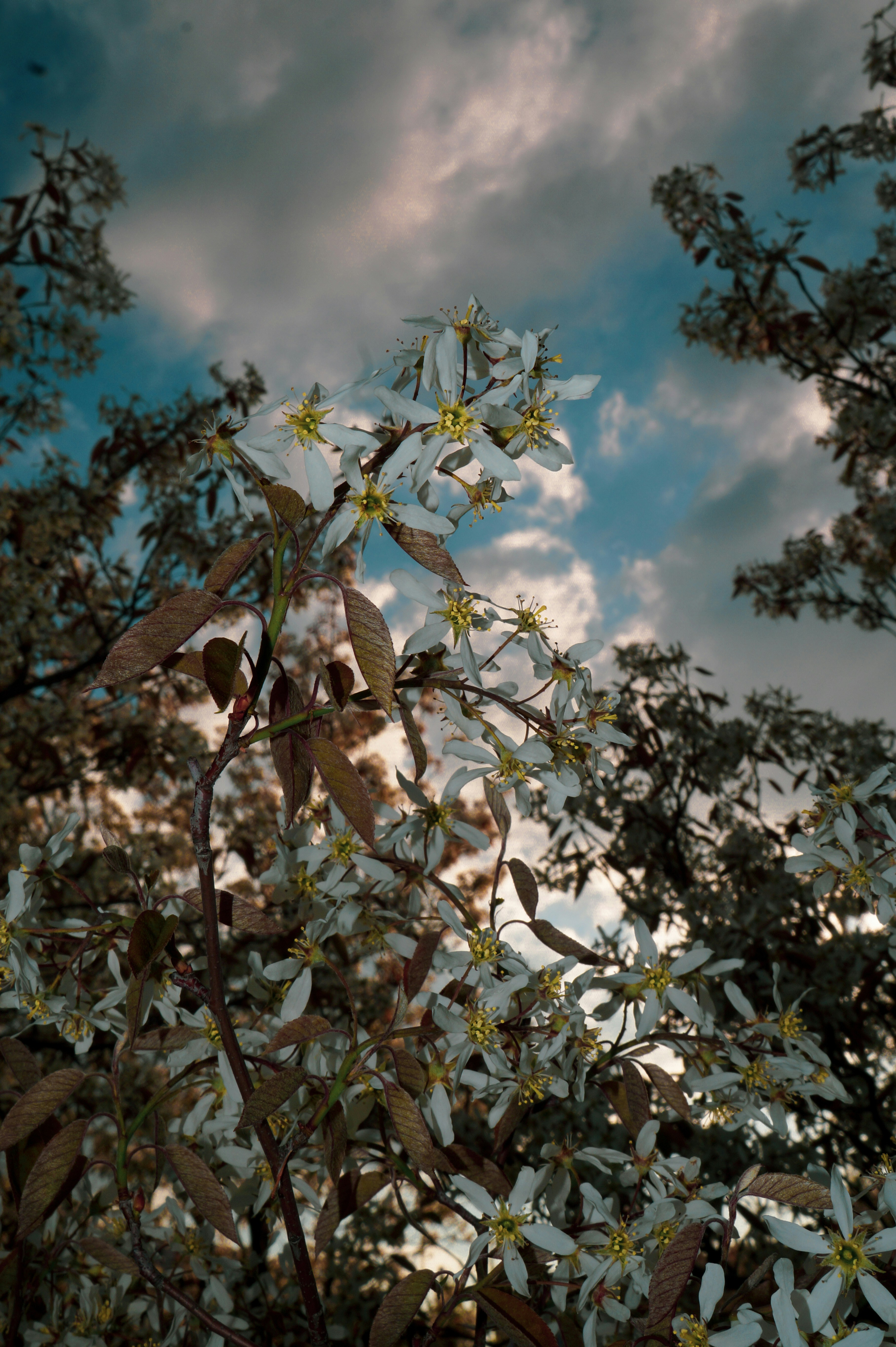 Photo by eirenethoms