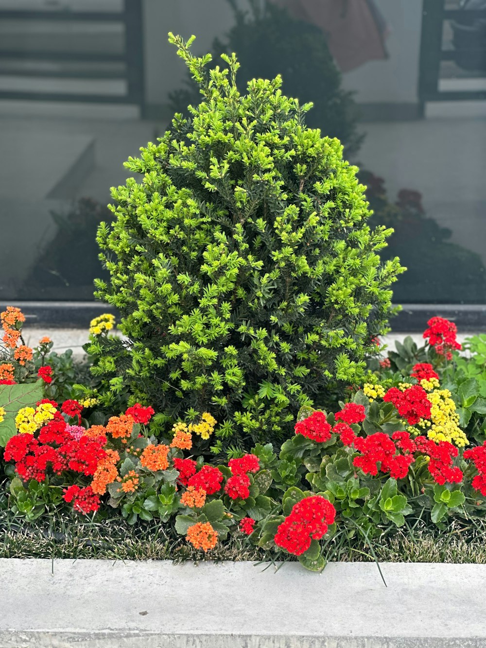 a planter filled with colorful flowers next to a window