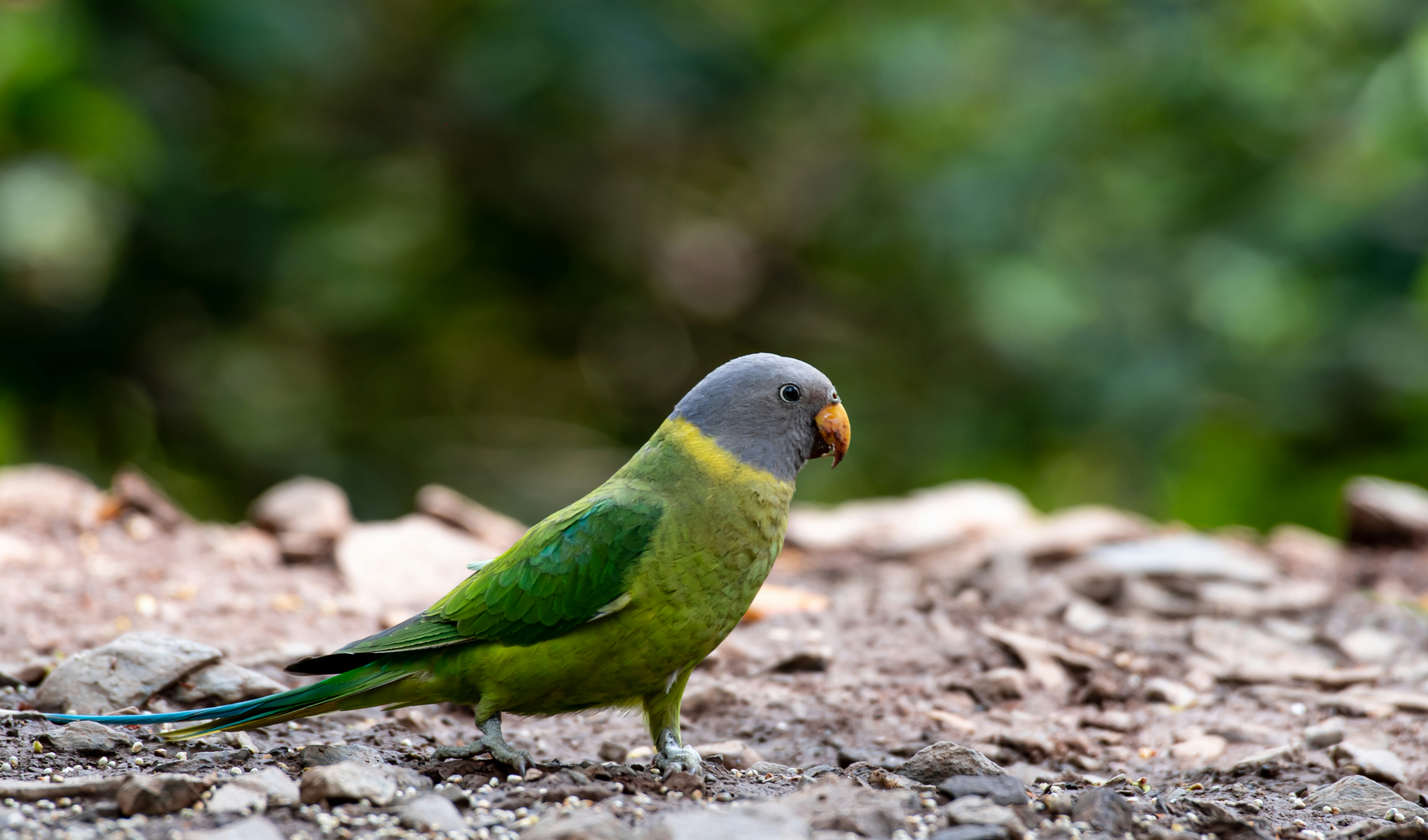 Photo by mhphotography13