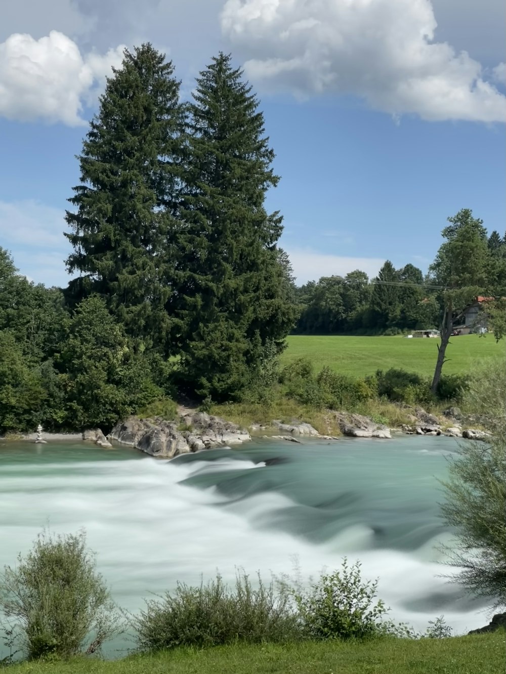 un río que corre a través de un frondoso bosque verde