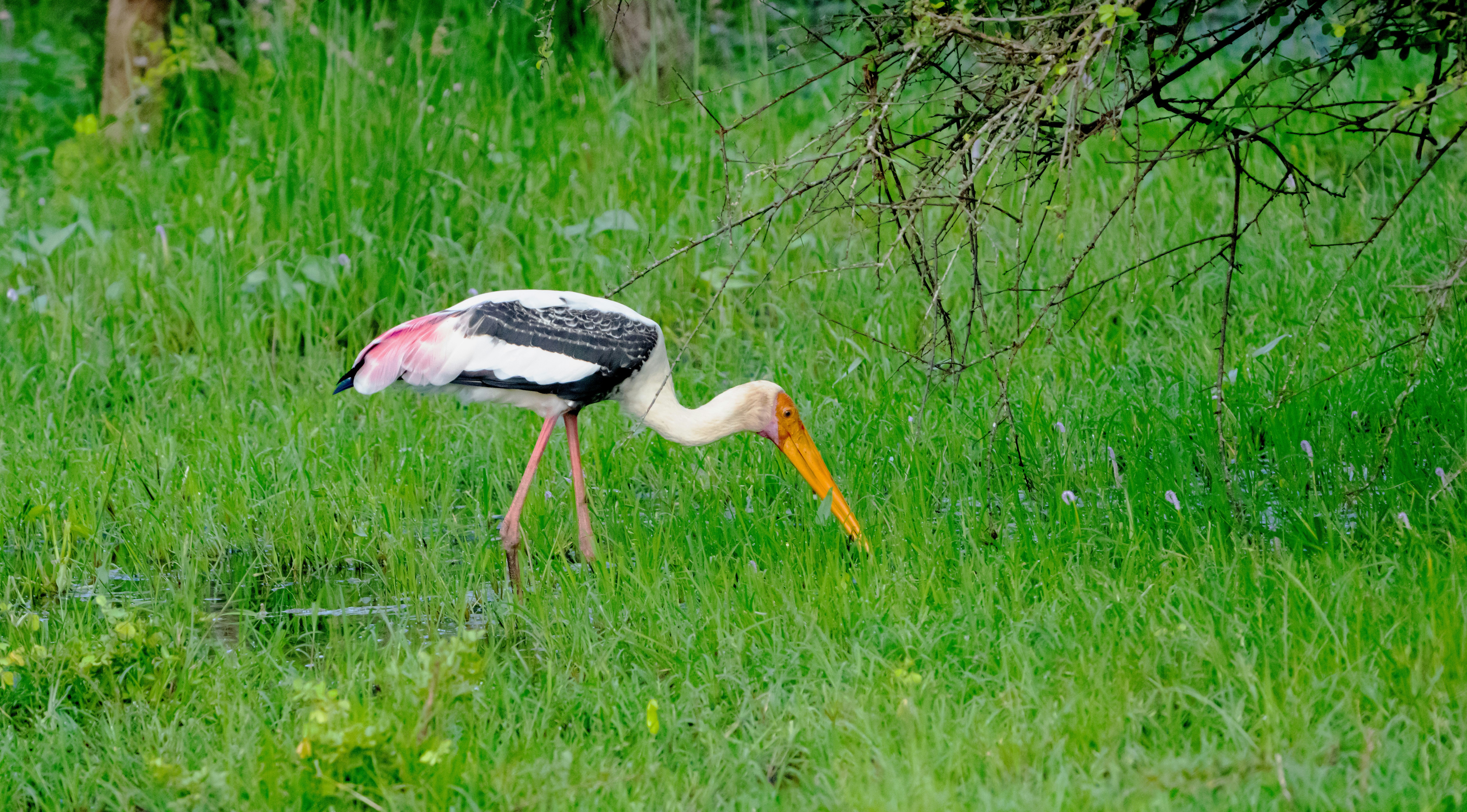 Photo by mhphotography13