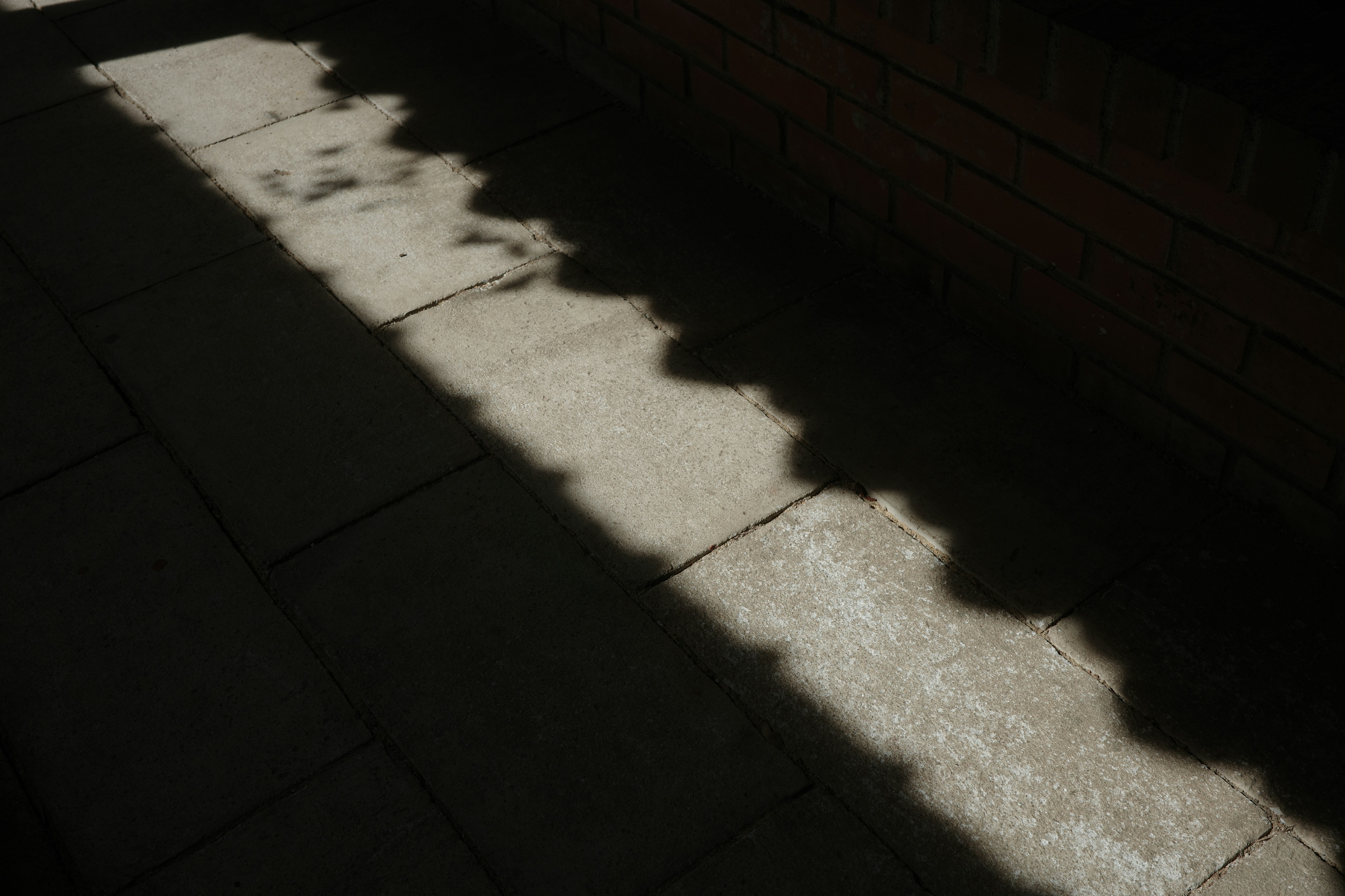 Shadow