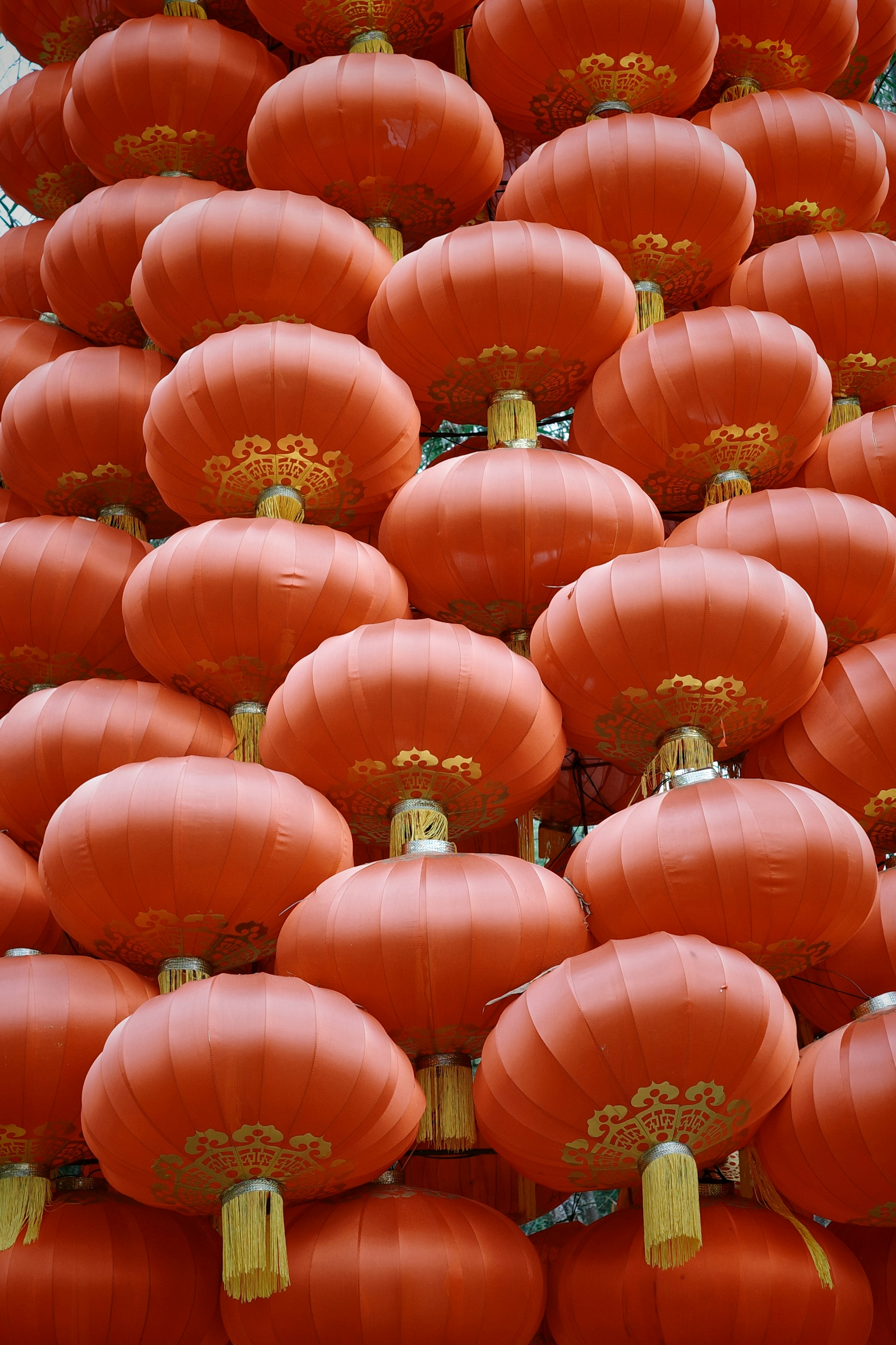 a large group of red lanterns hanging from the ceiling