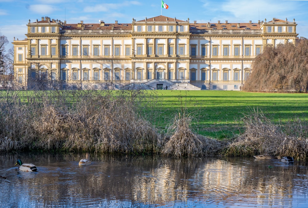 two ducks swimming in a pond in front of a large building
