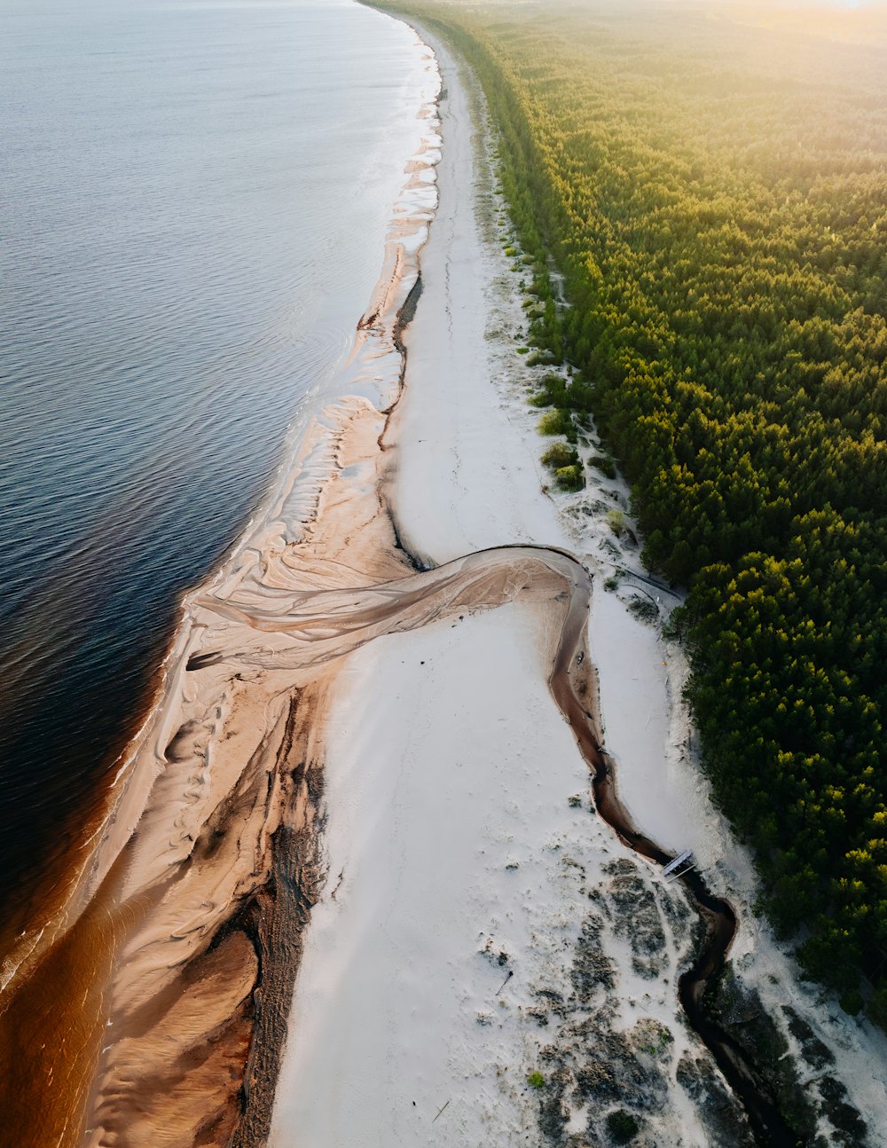 Una vista aérea de una playa de arena y un cuerpo de agua