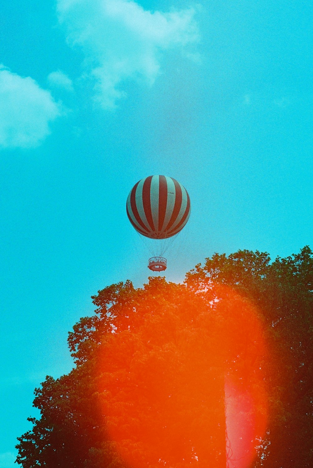 a hot air balloon flying over a forest