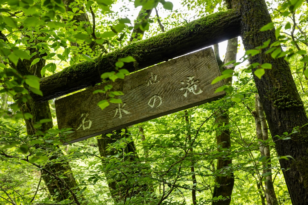 a wooden sign in the middle of a forest