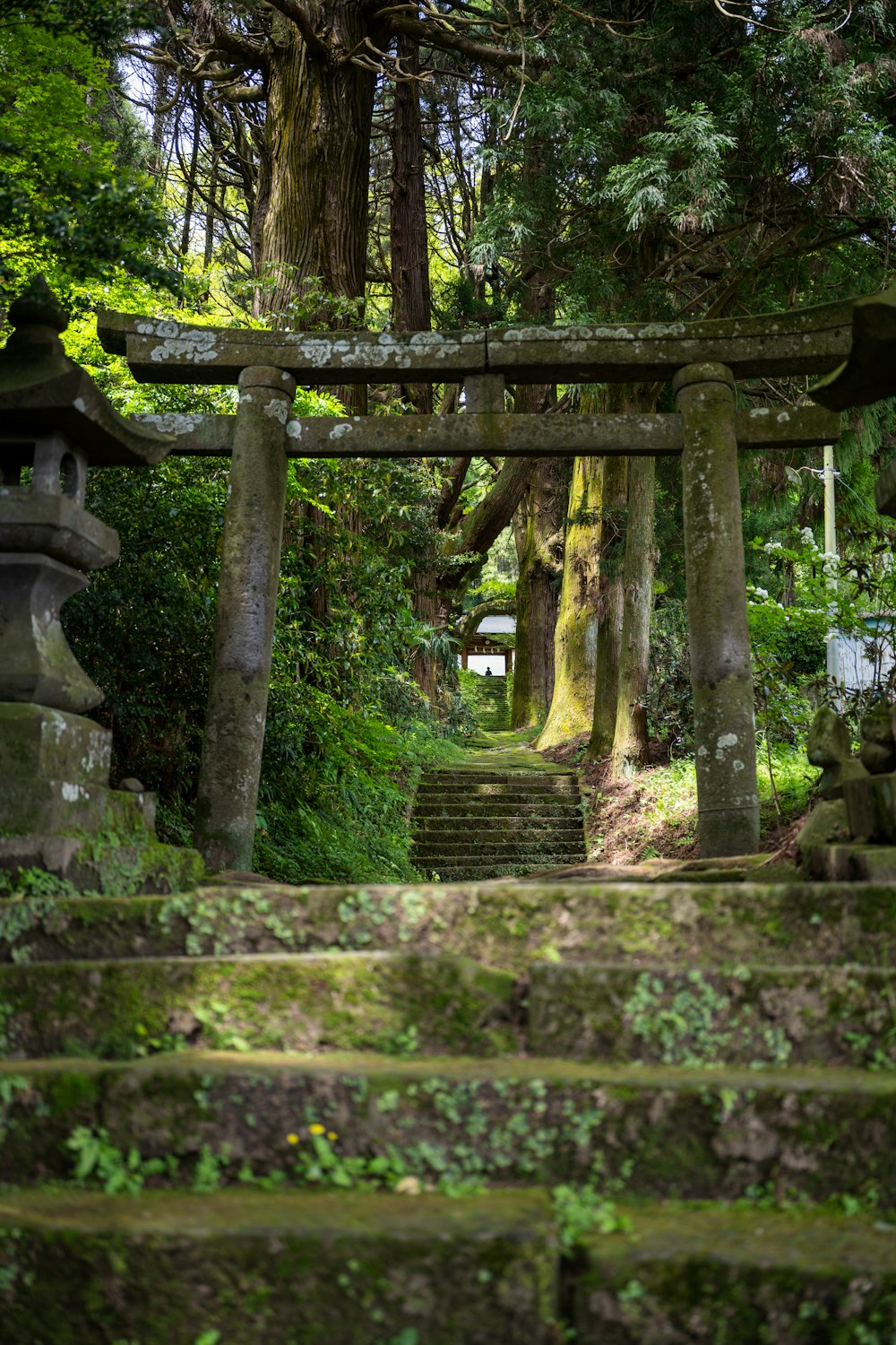 a group of steps leading up to a shrine in a forest