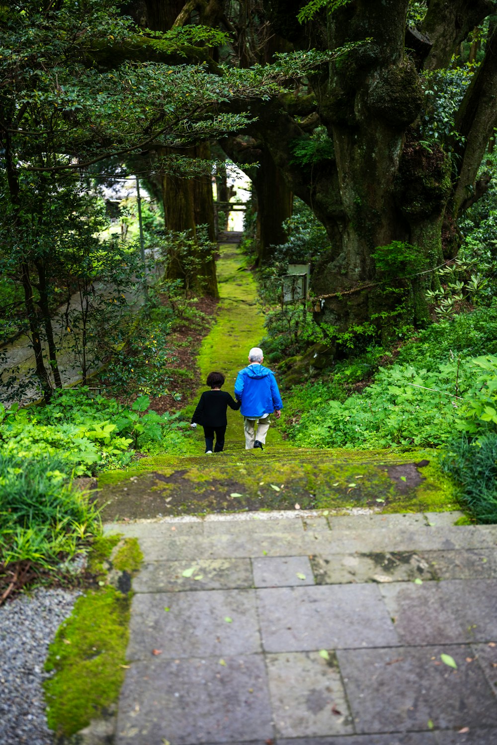 a couple of people that are walking down a path