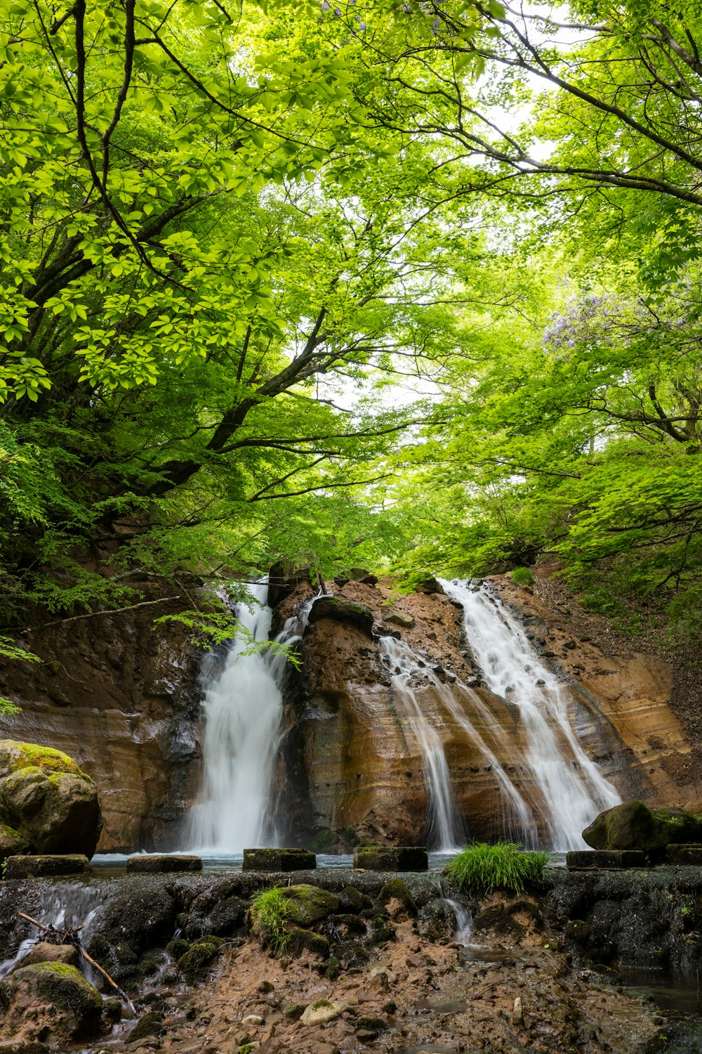 a waterfall in the middle of a lush green forest