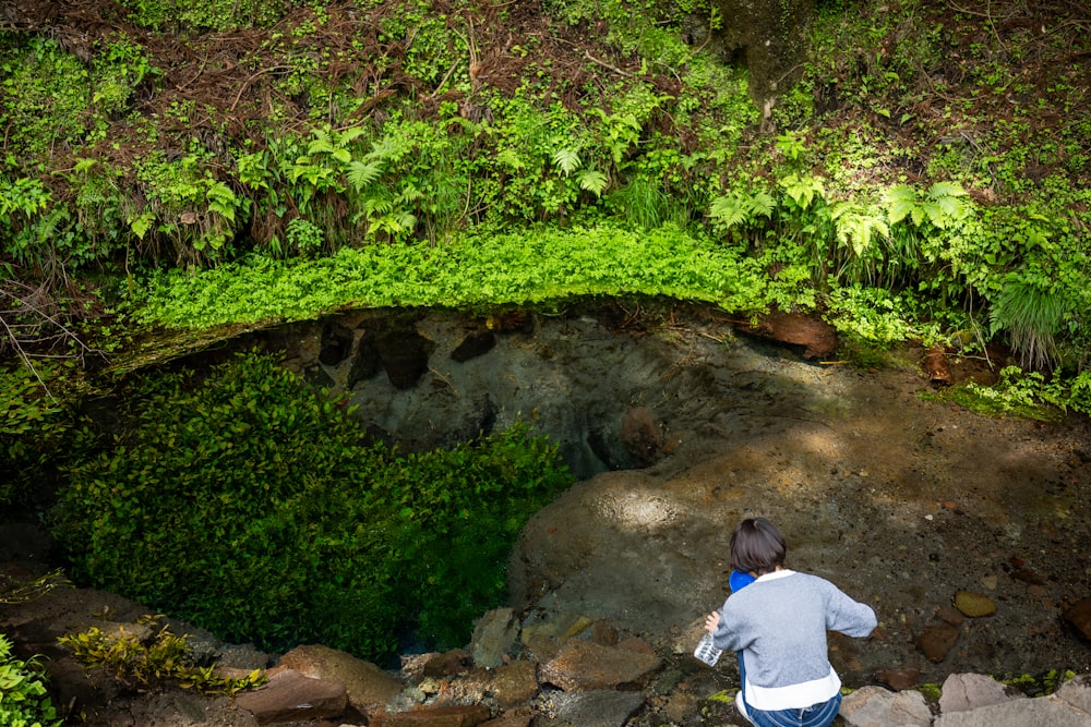 a person standing on a rock next to a lush green forest