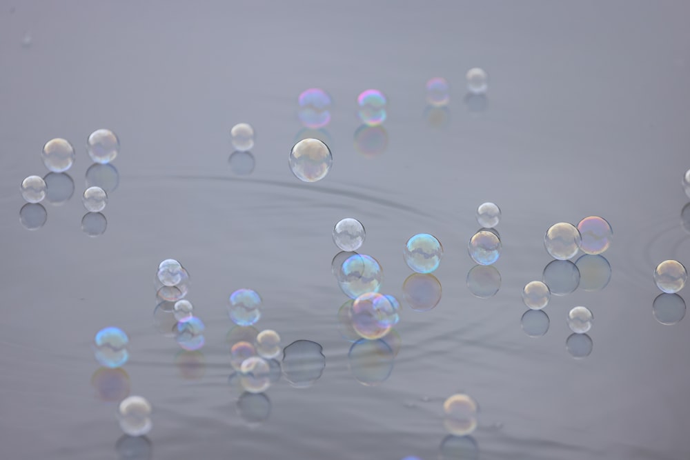 a group of bubbles floating on top of a body of water