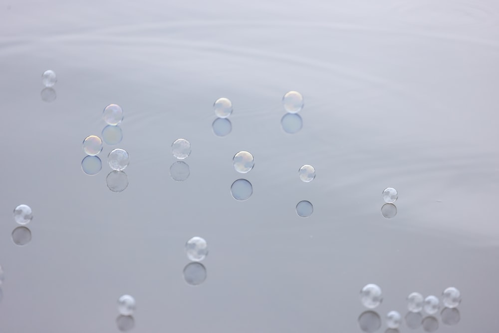 a group of bubbles floating on top of a body of water