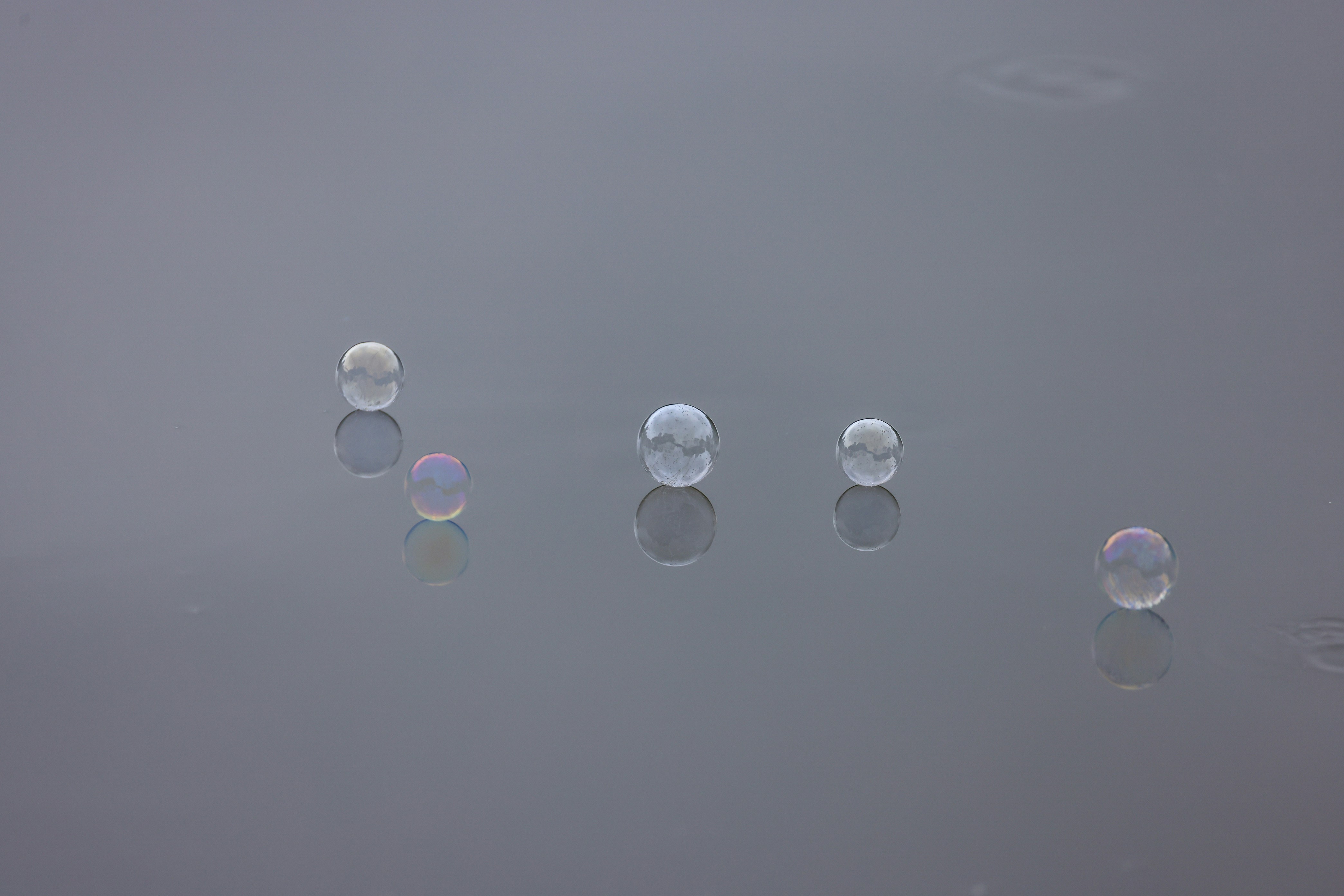 a group of bubbles floating on top of a body of water