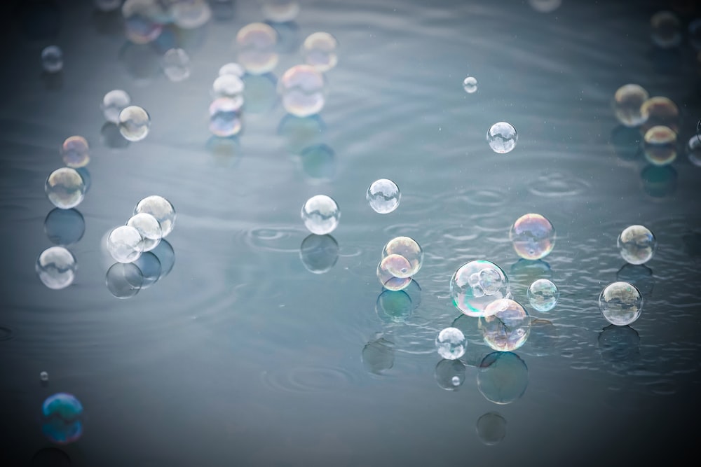 a group of bubbles floating on top of a body of water