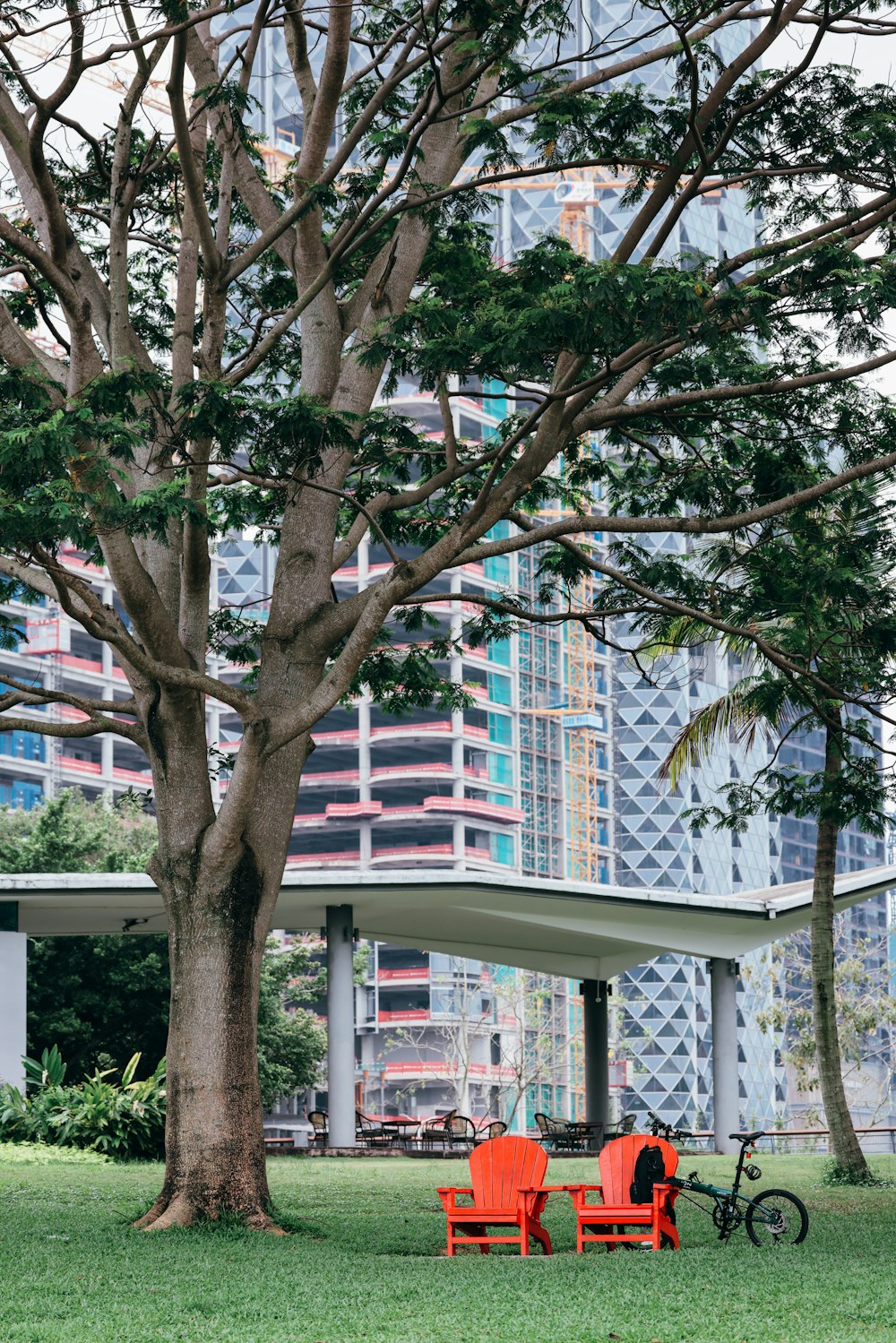 a couple of red chairs sitting next to a tree