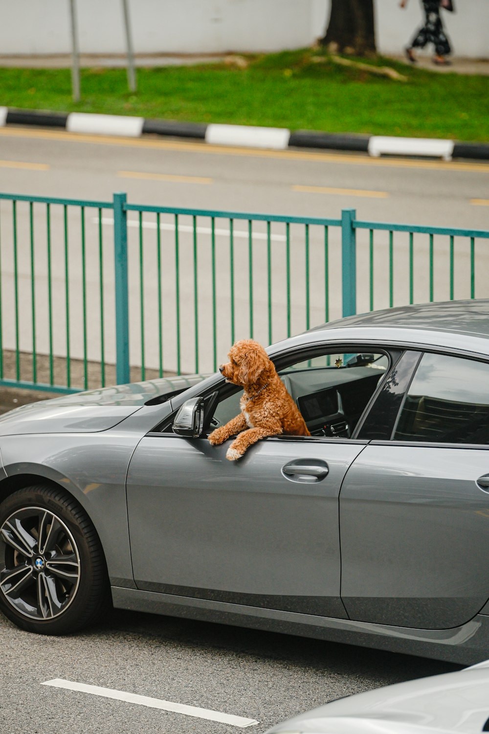 a teddy bear sitting in the drivers seat of a car