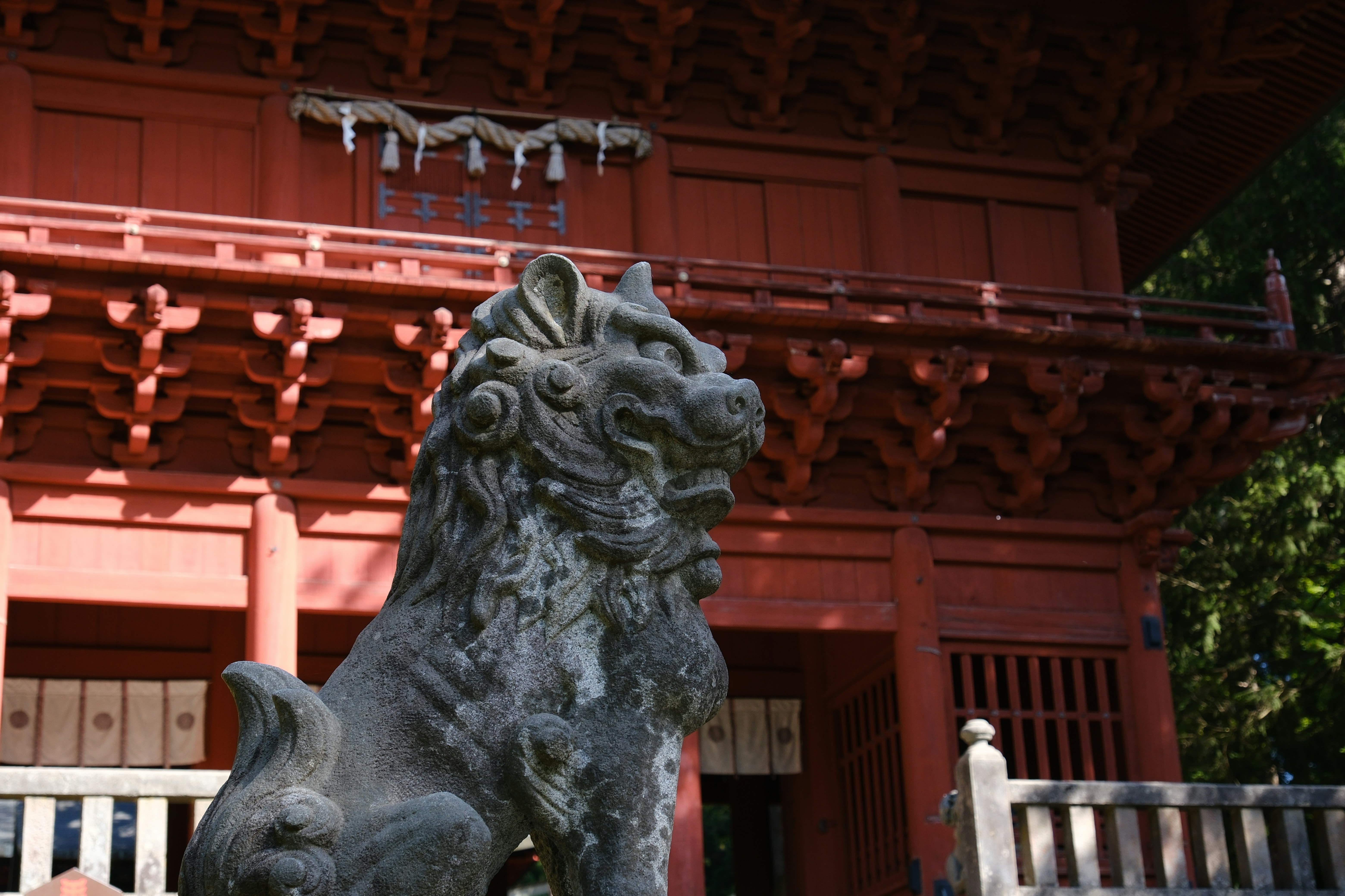 Photo by seiya_maeda