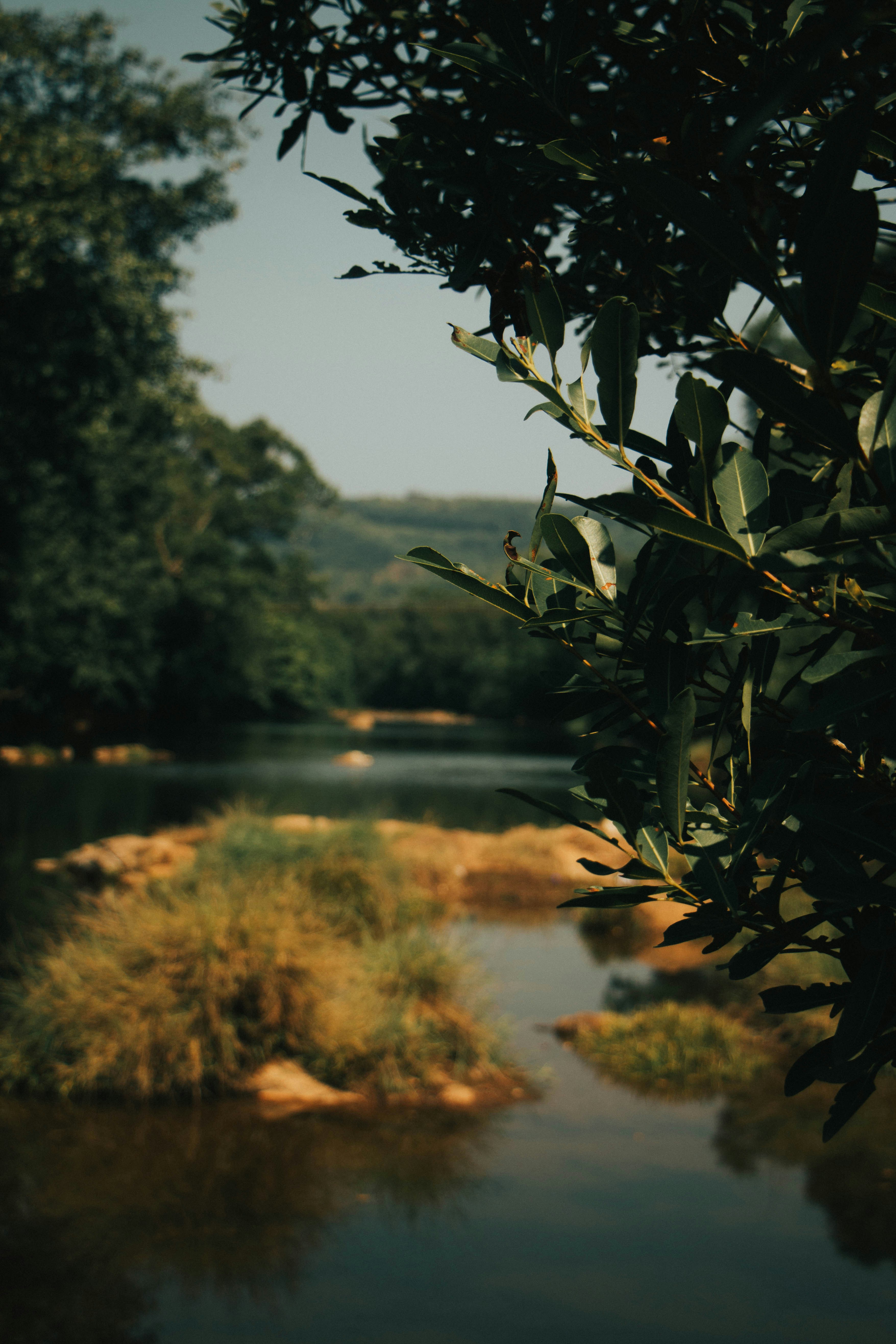 Photo by rishabh_mathew