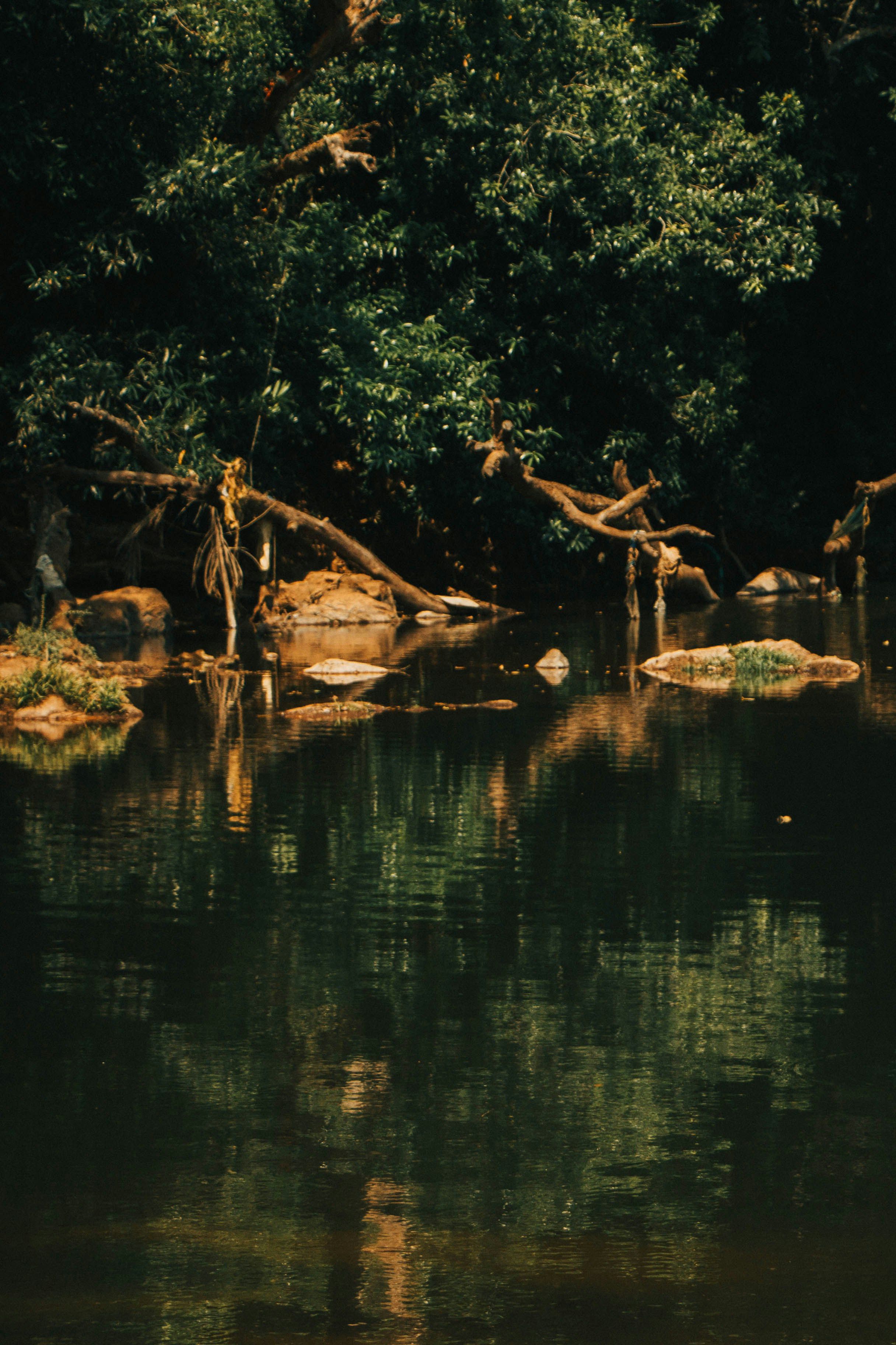 Photo by rishabh_mathew