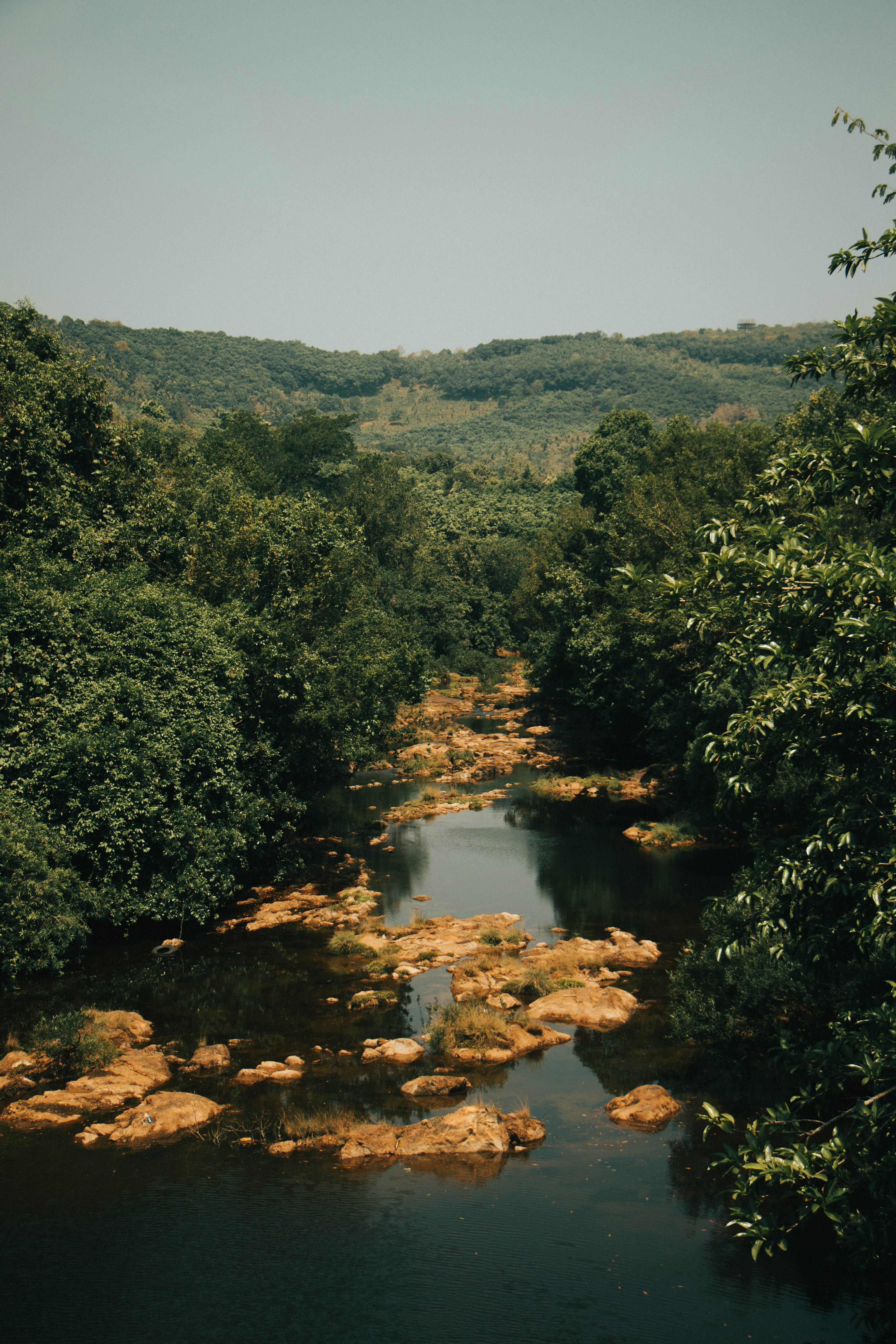 Photo by rishabh_mathew