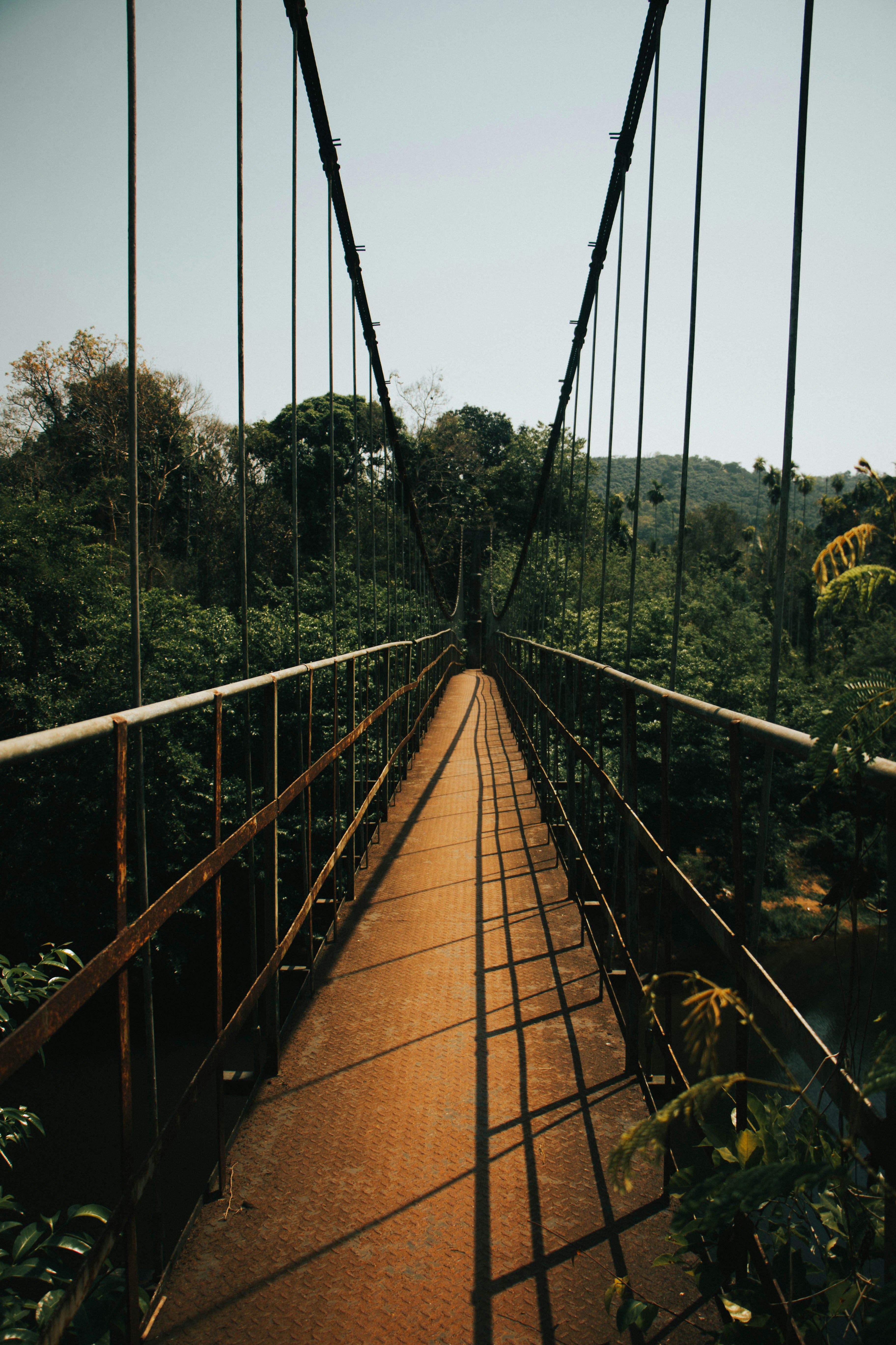 Photo by rishabh_mathew