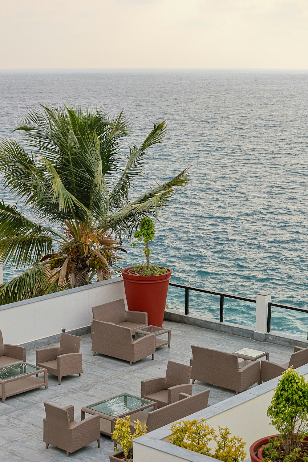 a patio with chairs and a potted plant