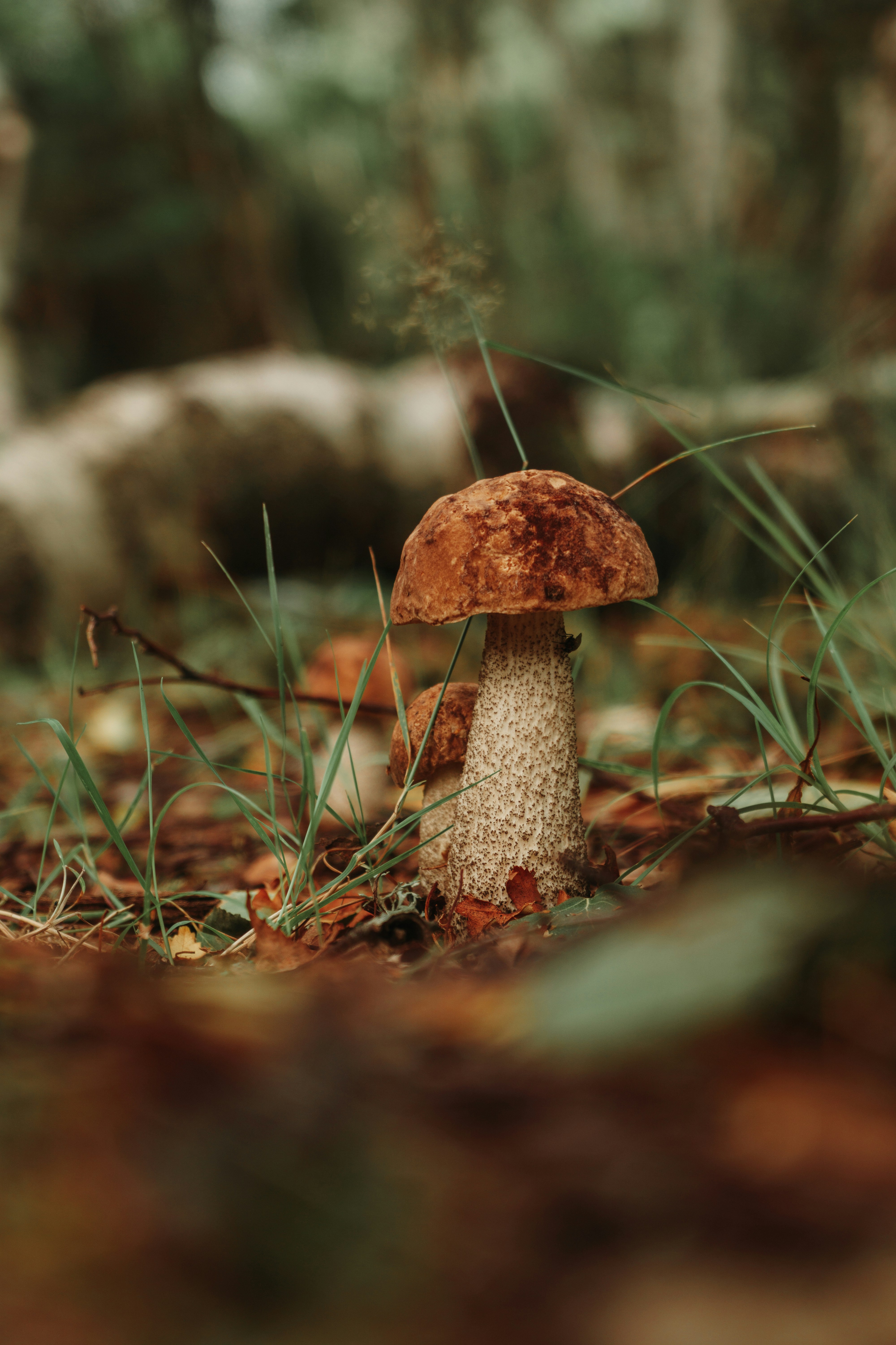 Photo by david_pavka