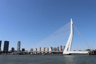Erasmusbrug bridge