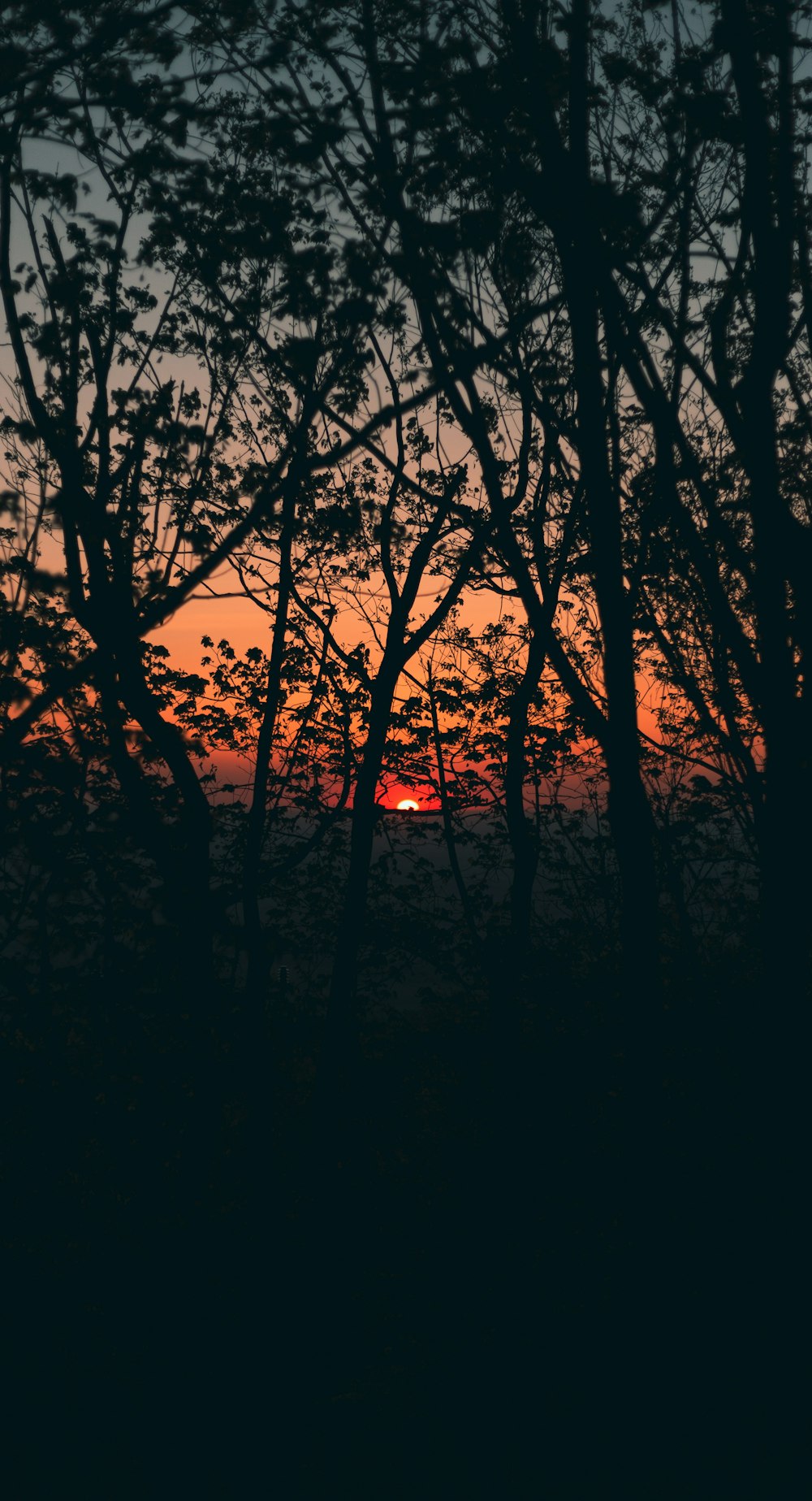 the sun is setting in the distance behind some trees