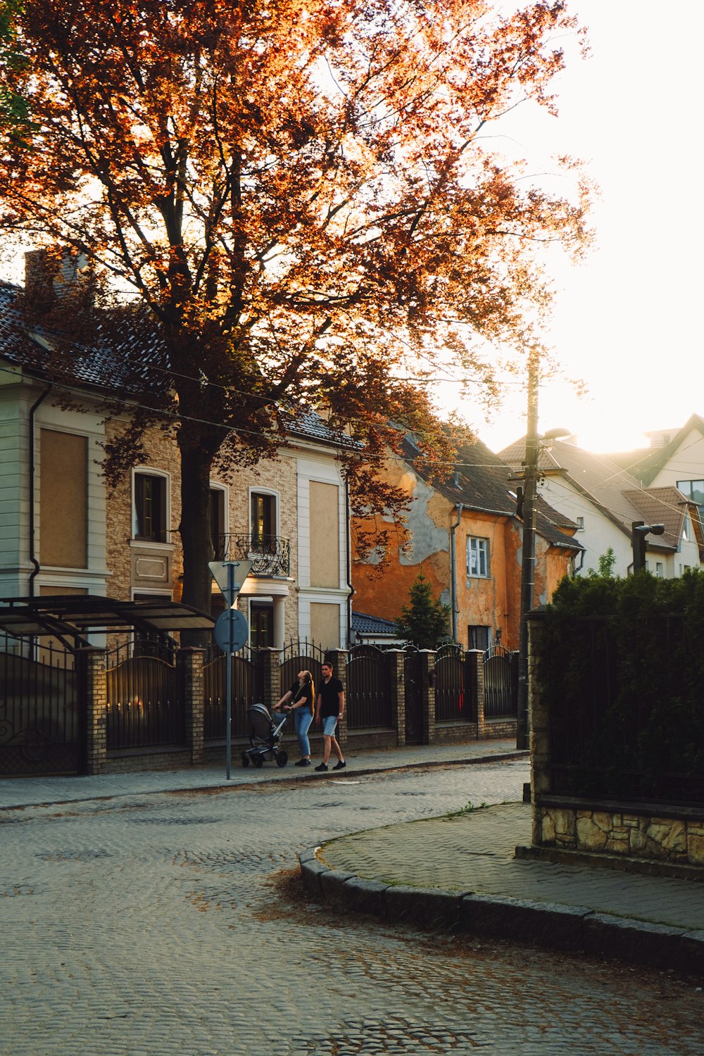 a couple of people walking down a street next to a tree