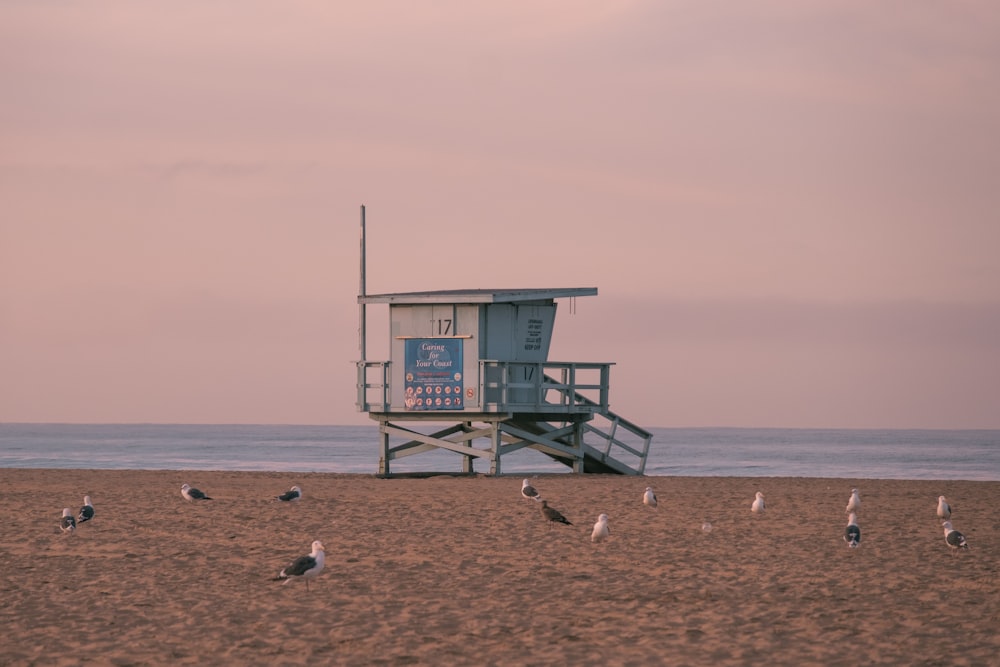 a lifeguard tower on a beach with seagulls