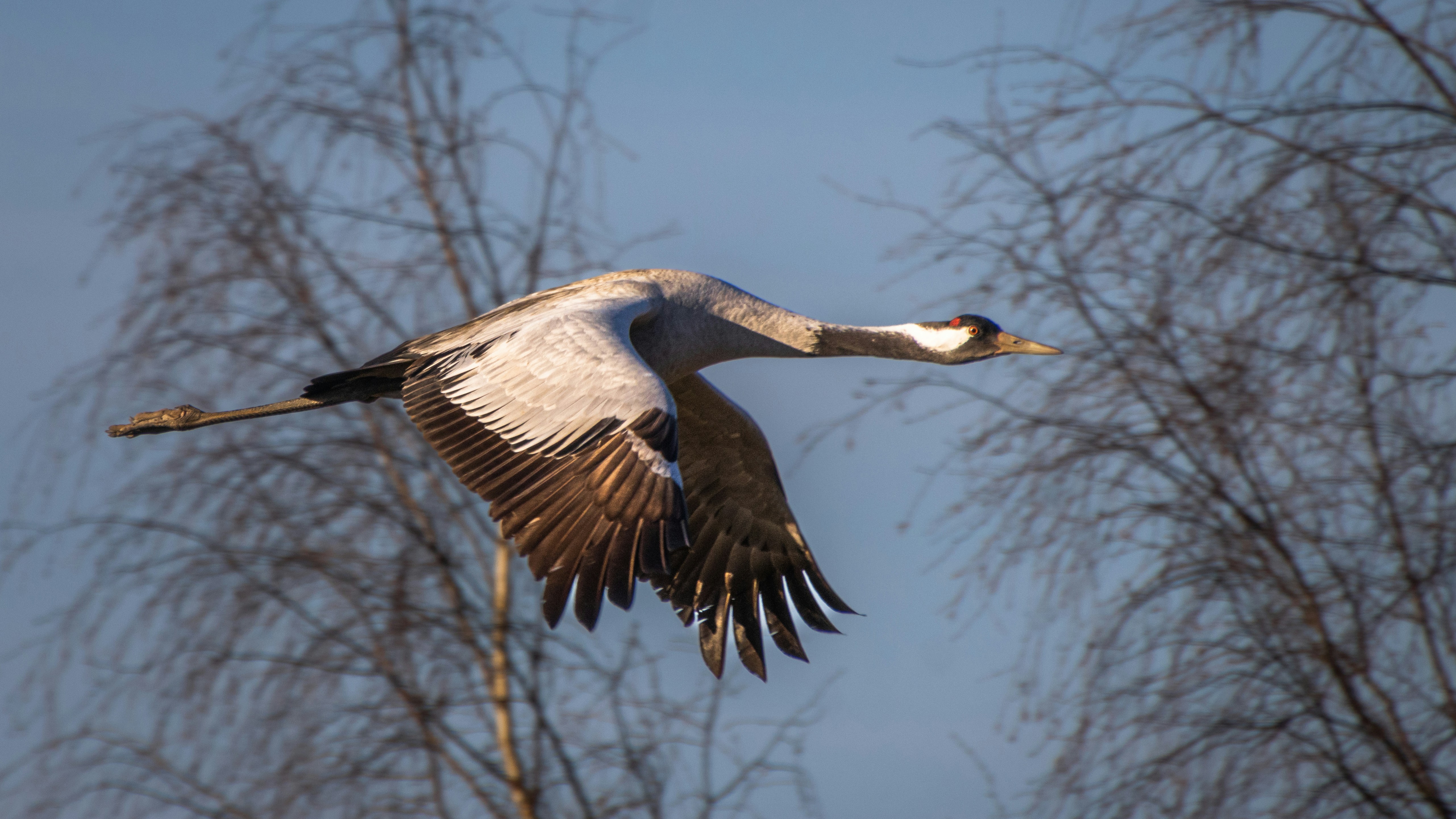 Photo by juho_aleksi_luomala